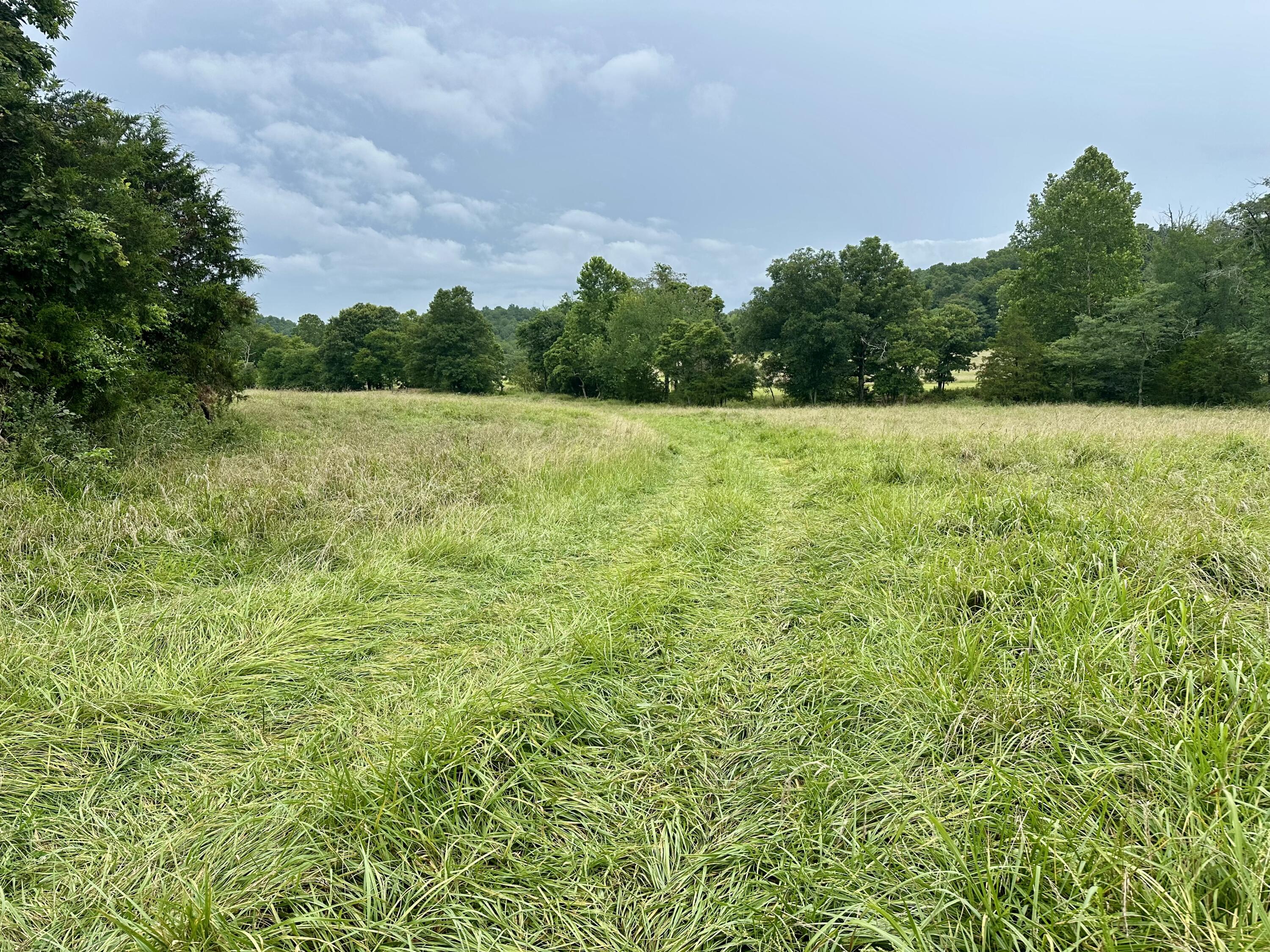 000 County Road 309 Property Photo 10