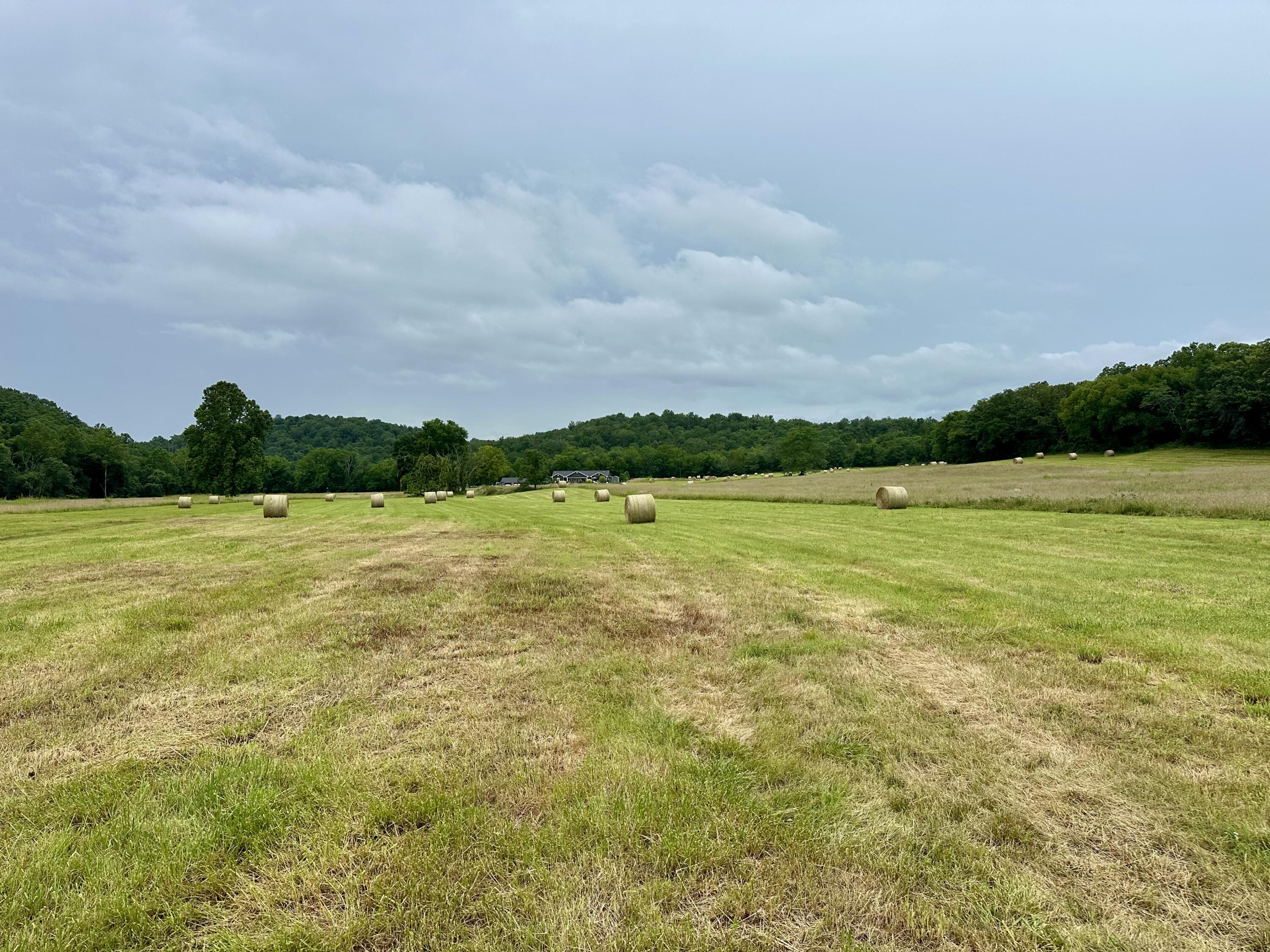 000 County Road 309 Property Photo 14