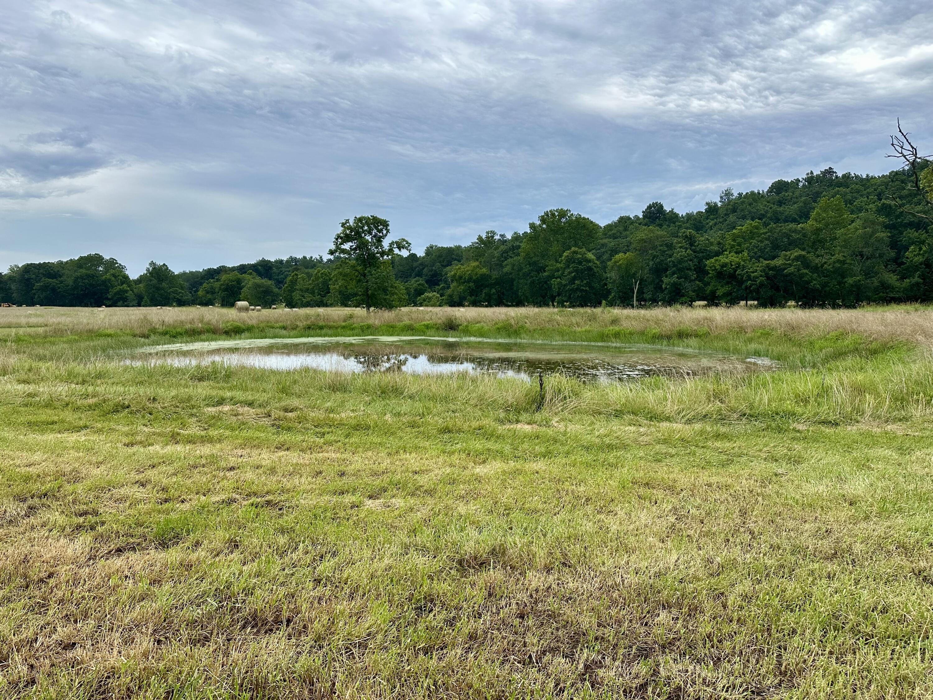 000 County Road 309 Property Photo 15