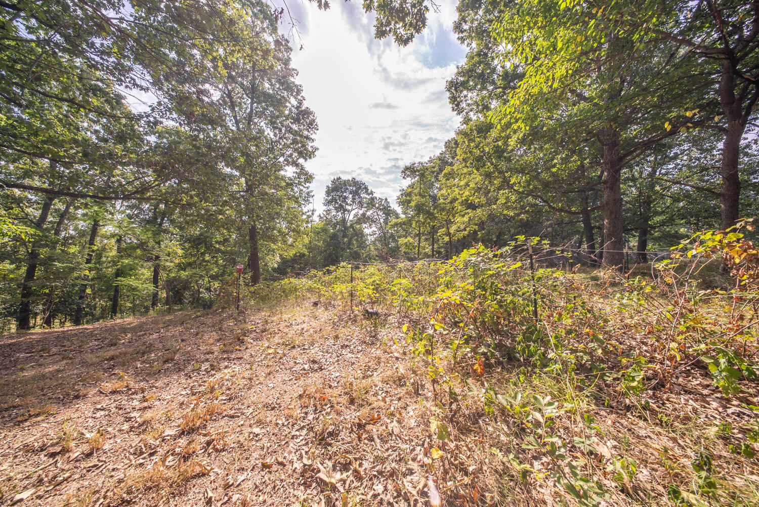 84 County Road 385 Property Photo 54