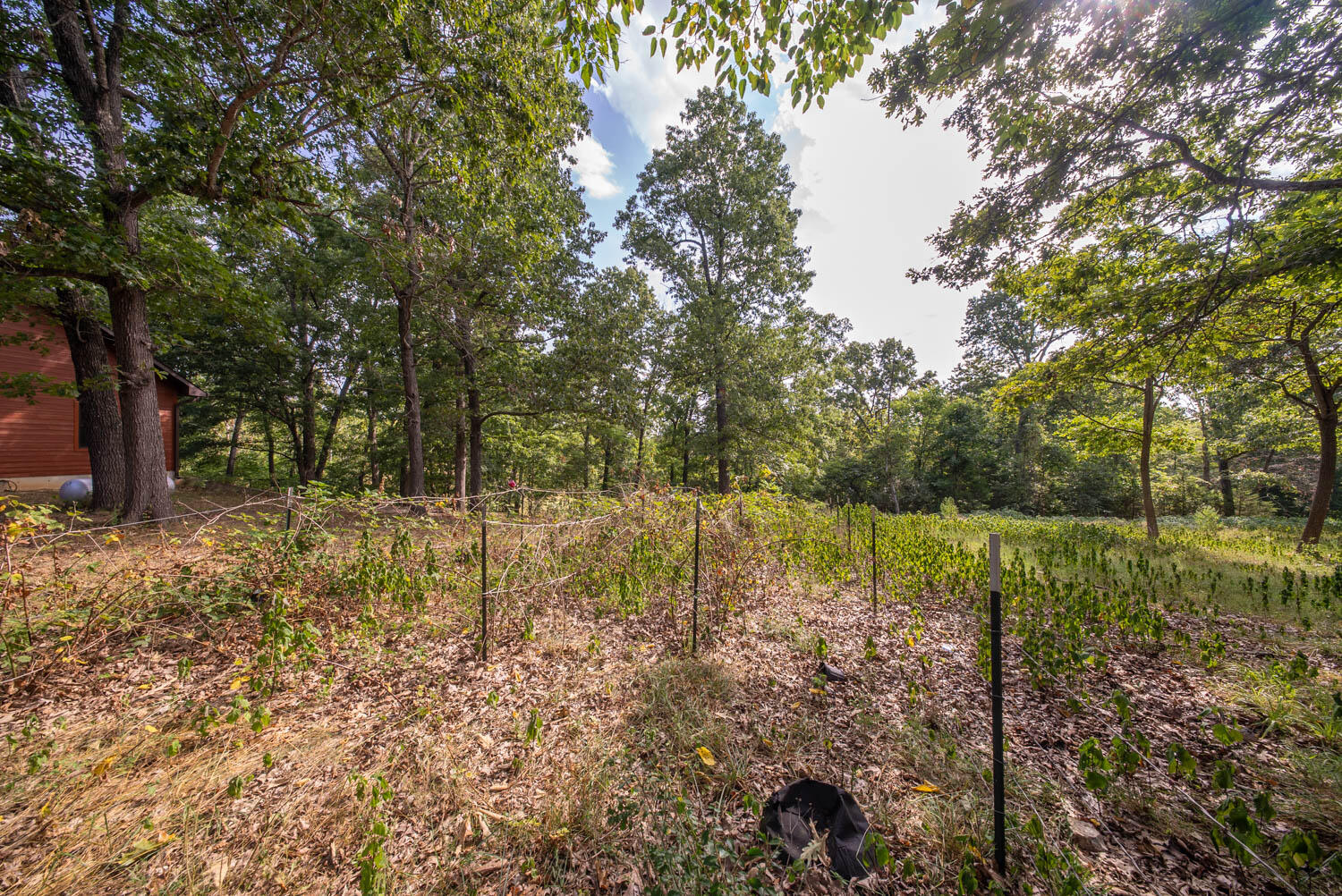 84 County Road 385 Property Photo 55