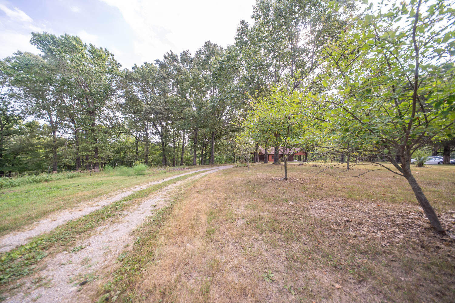 84 County Road 385 Property Photo 57