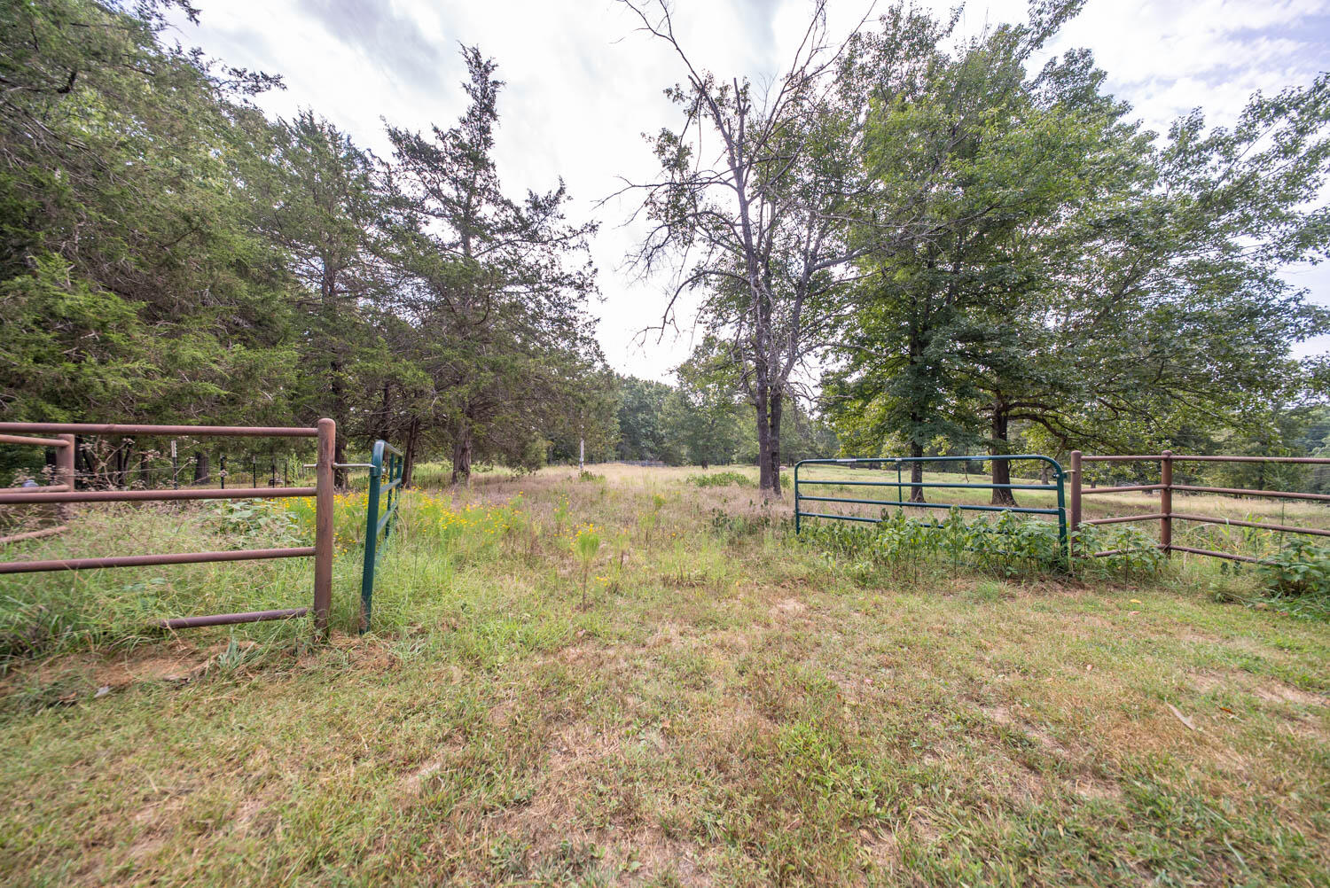 84 County Road 385 Property Photo 62
