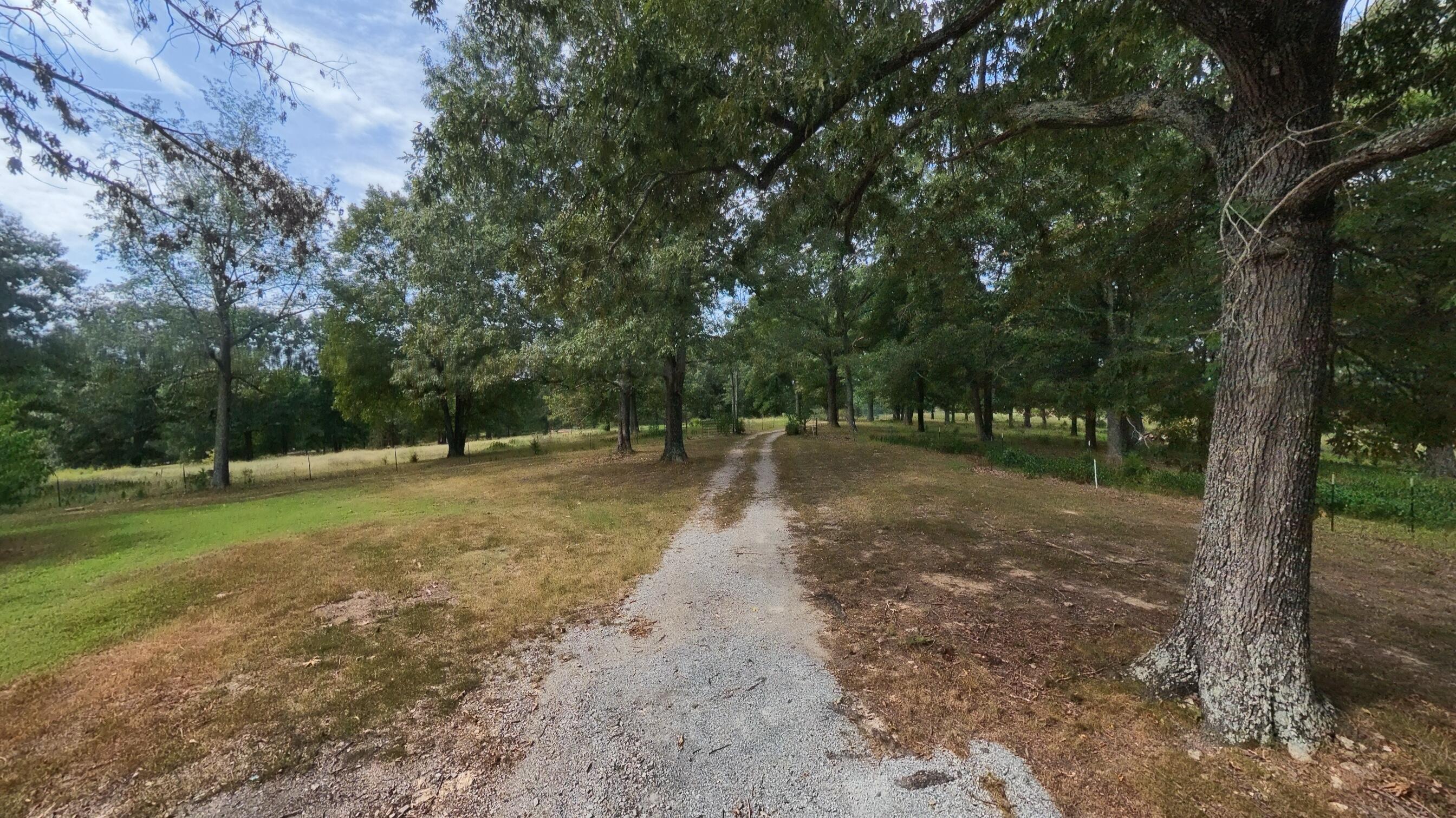 84 County Road 385 Property Photo 86