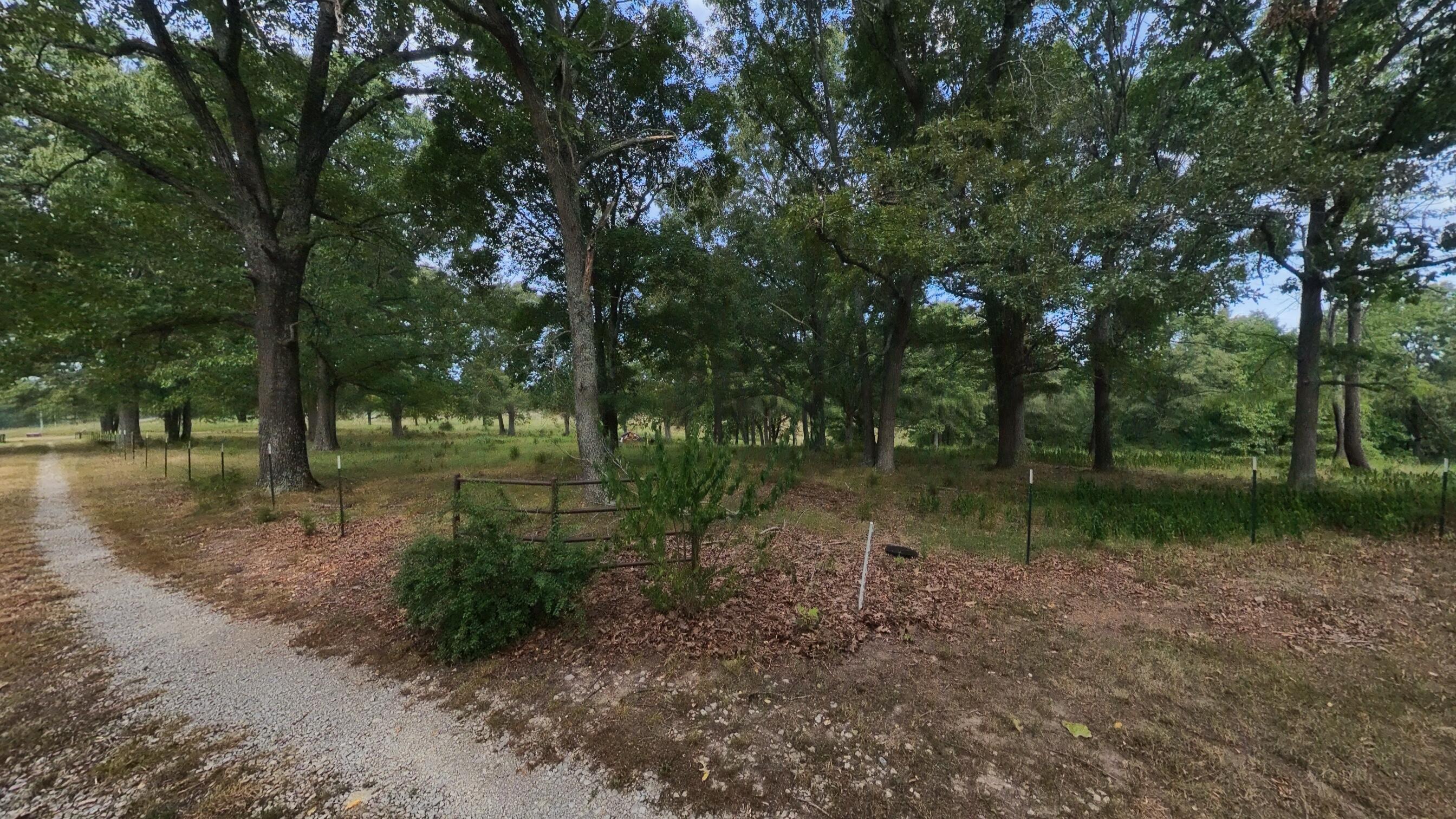 84 County Road 385 Property Photo 89