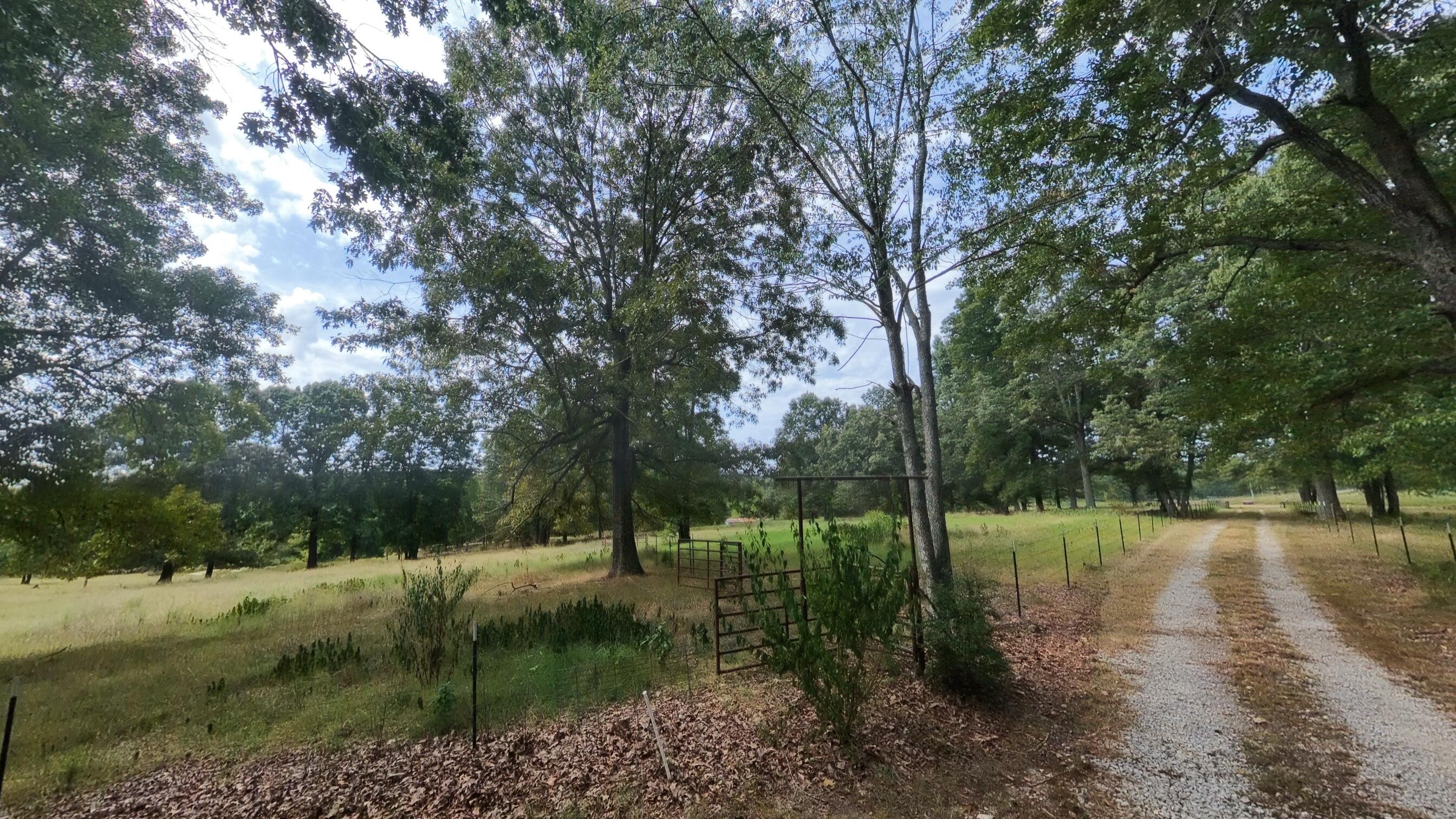 84 County Road 385 Property Photo 90