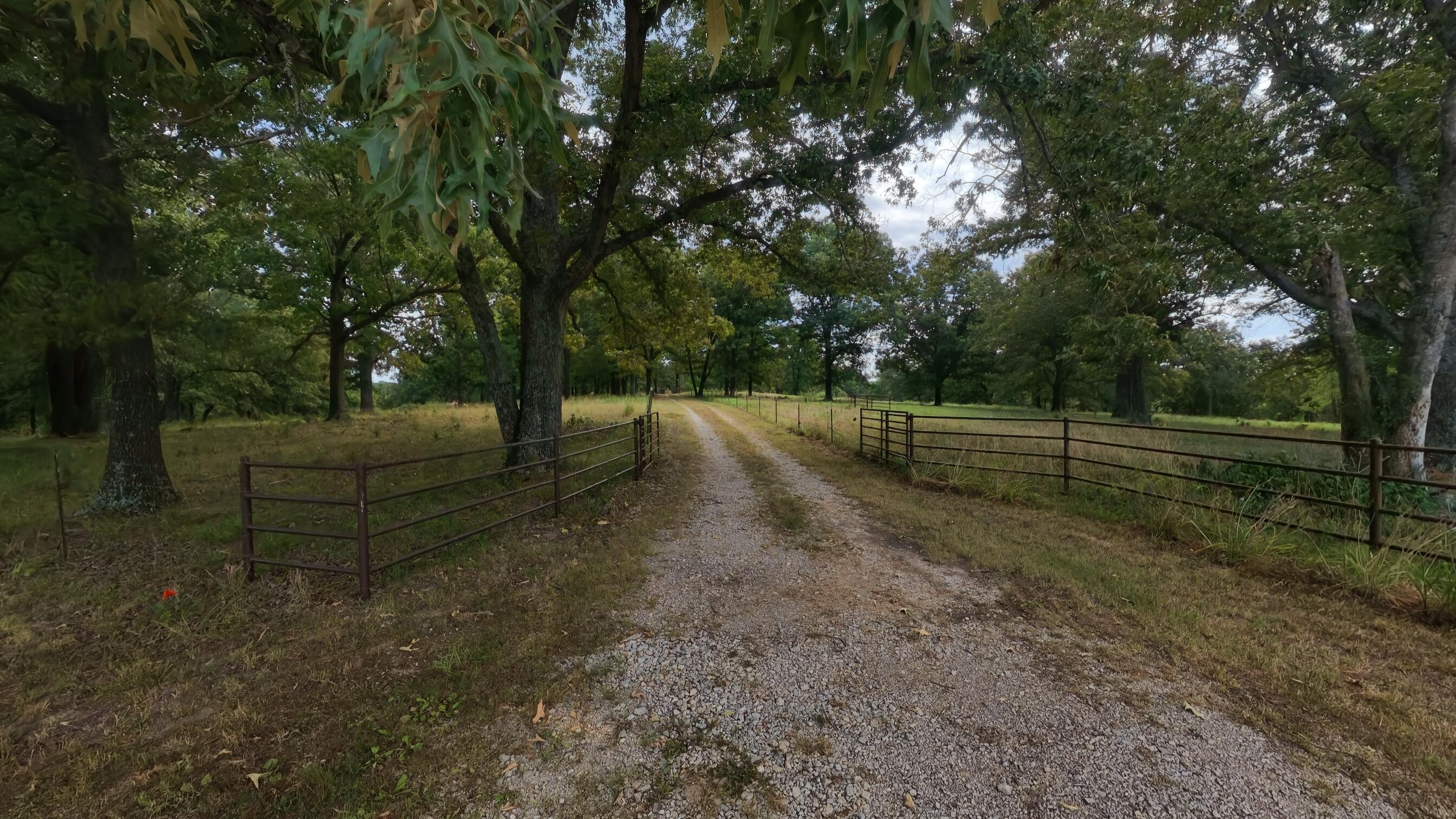 84 County Road 385 Property Photo 91