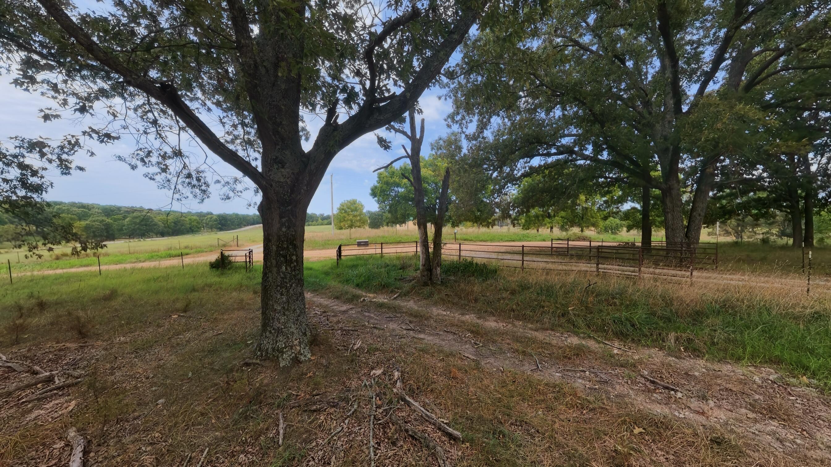 84 County Road 385 Property Photo 93