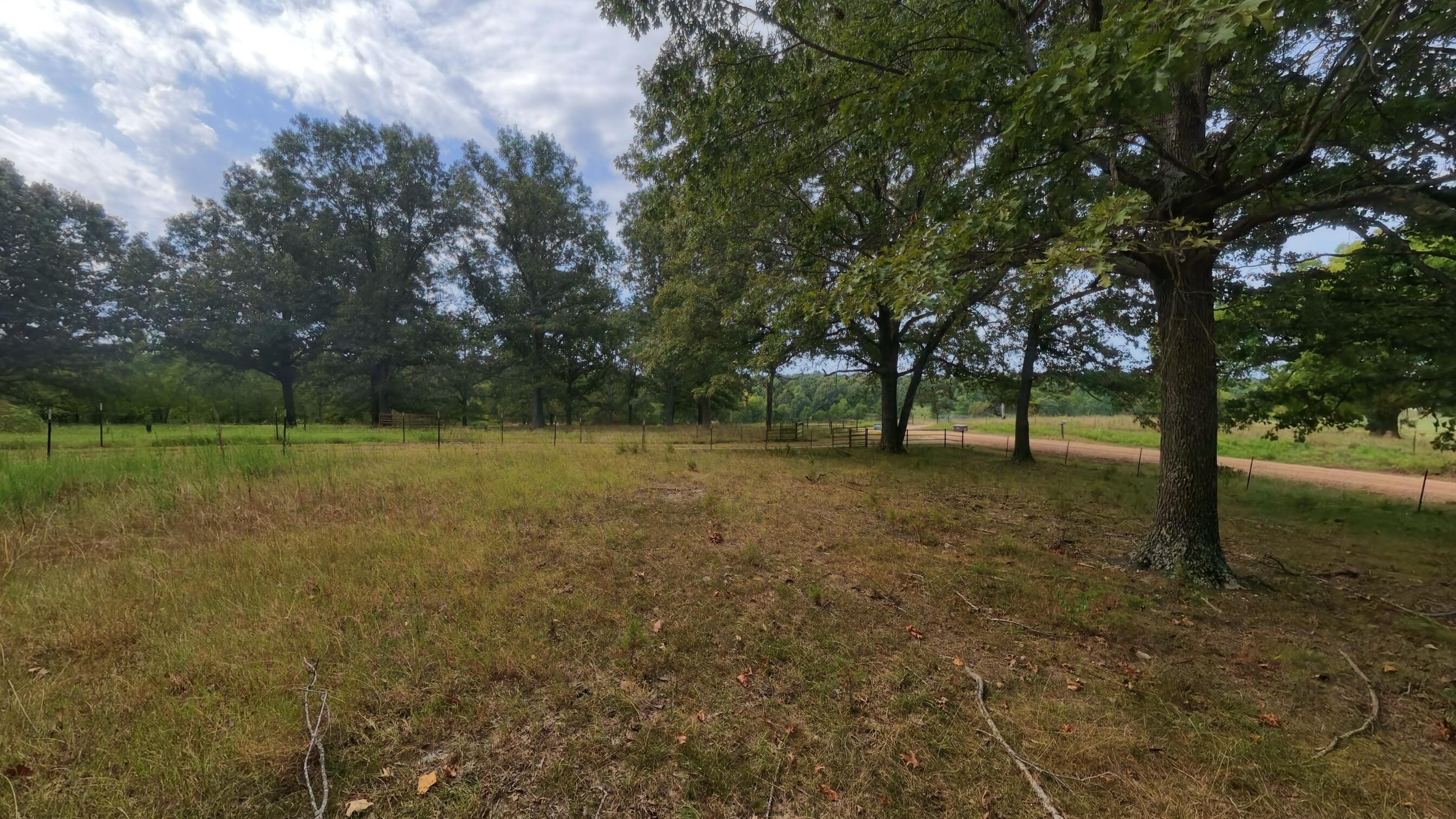 84 County Road 385 Property Photo 94
