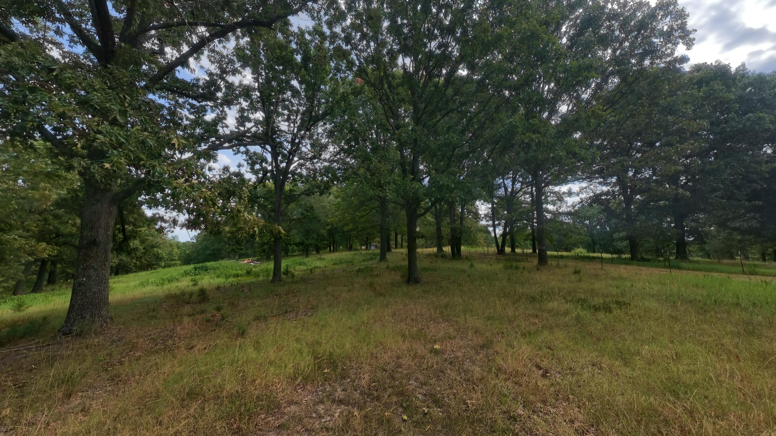 84 County Road 385 Property Photo 95