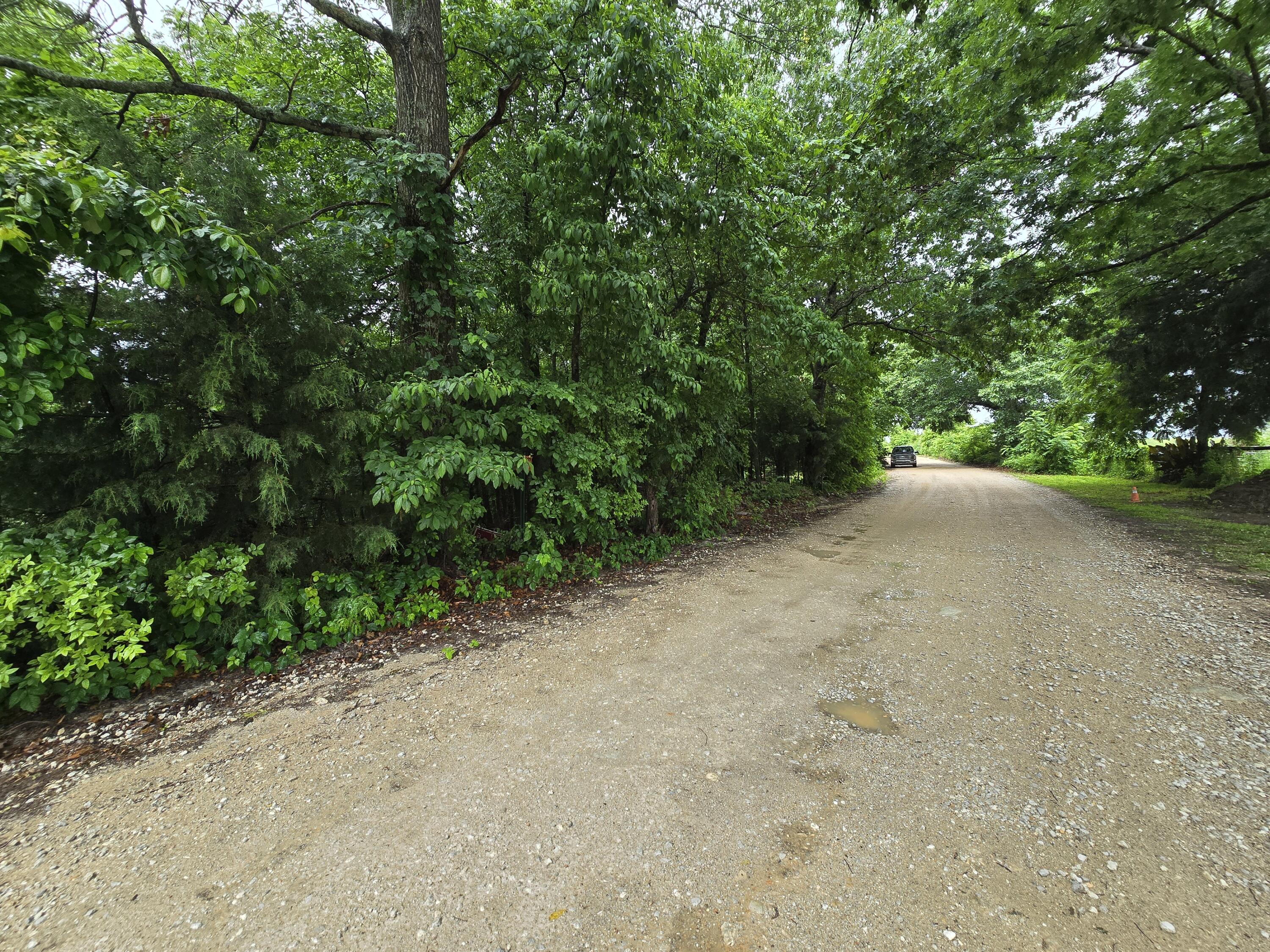 16850 Old Cricket Road West Property Photo 14