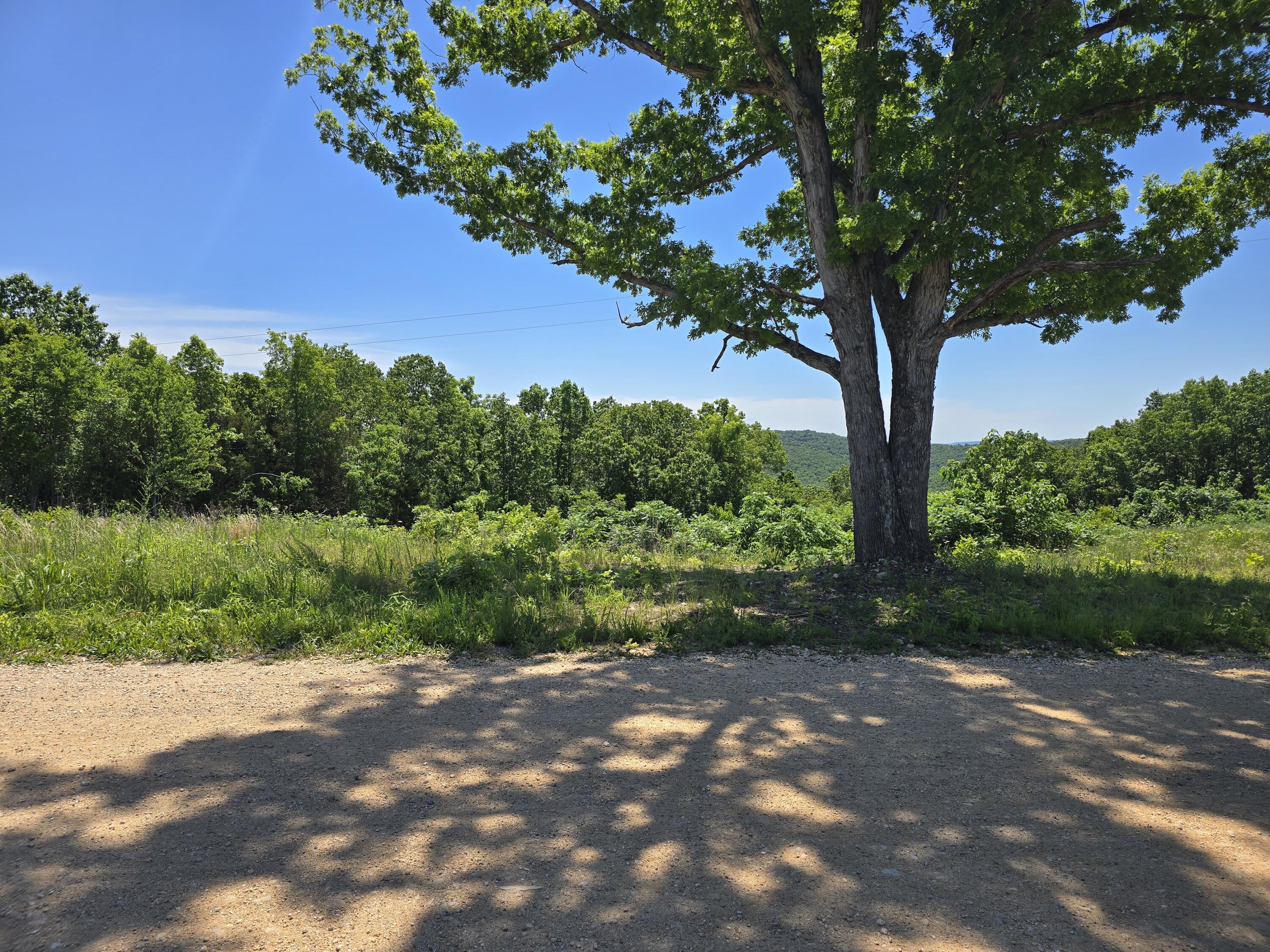 16850 Old Cricket Road West Property Photo 1