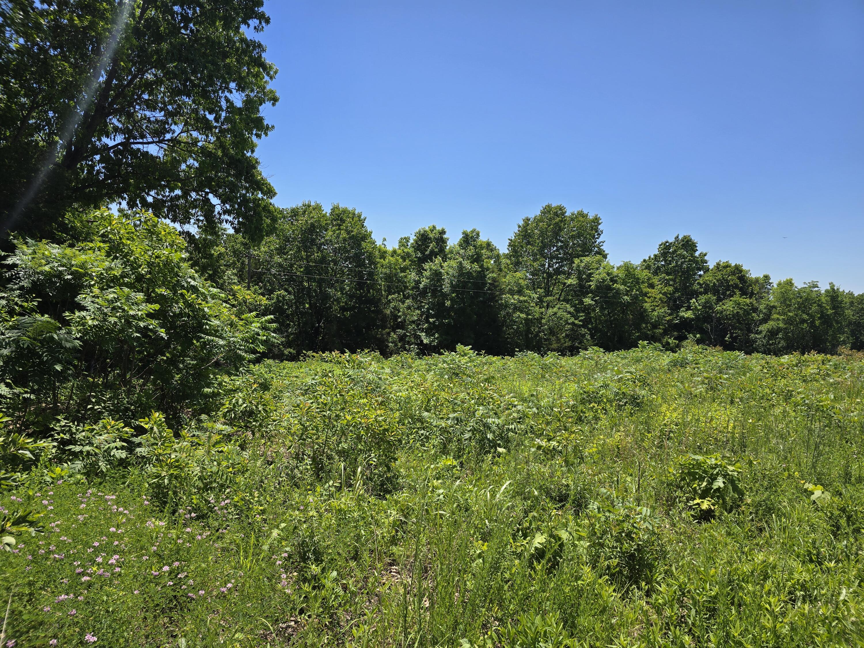 16850 Old Cricket Road West Property Photo 4