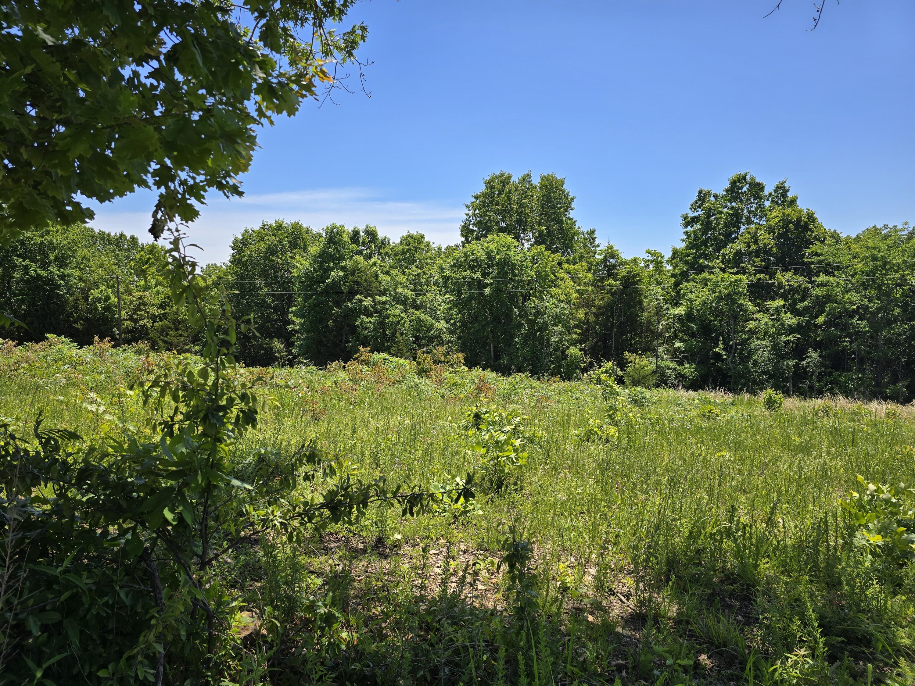 16850 Old Cricket Road West Property Photo 6