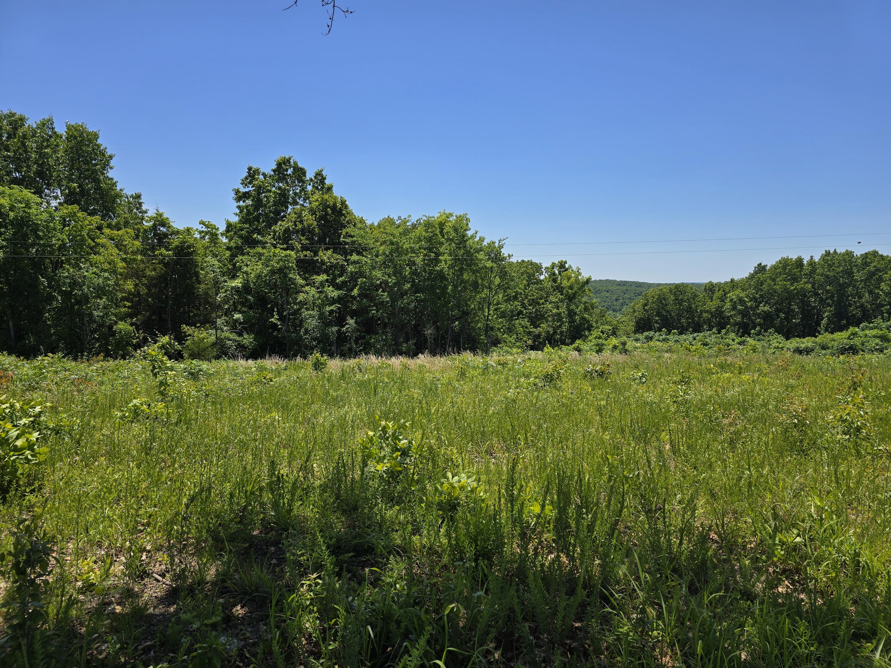 16850 Old Cricket Road West Property Photo 7