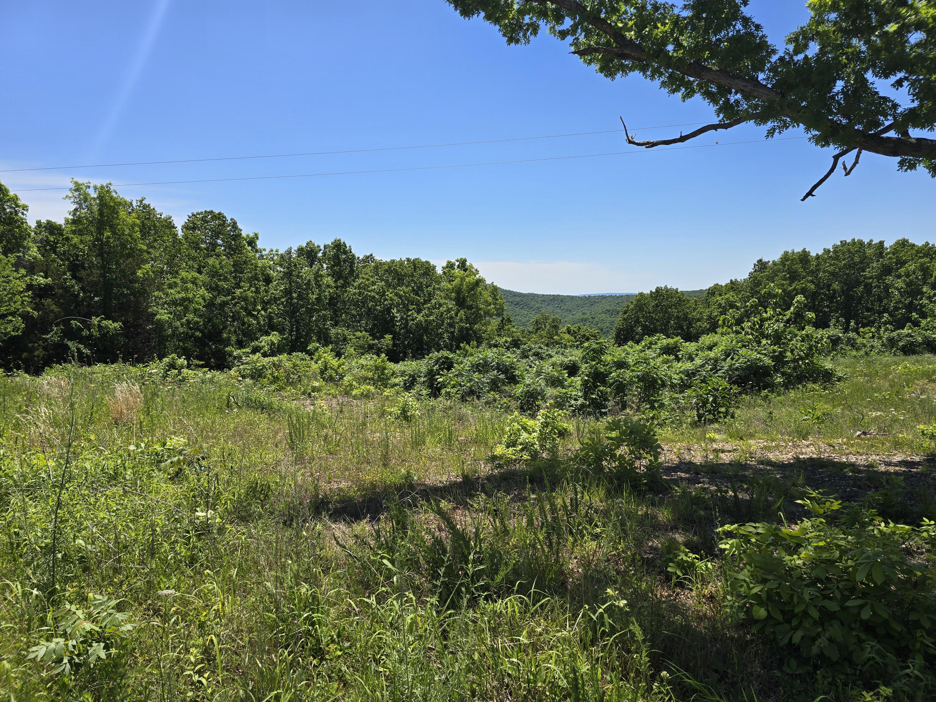 16850 Old Cricket Road West Property Photo 8