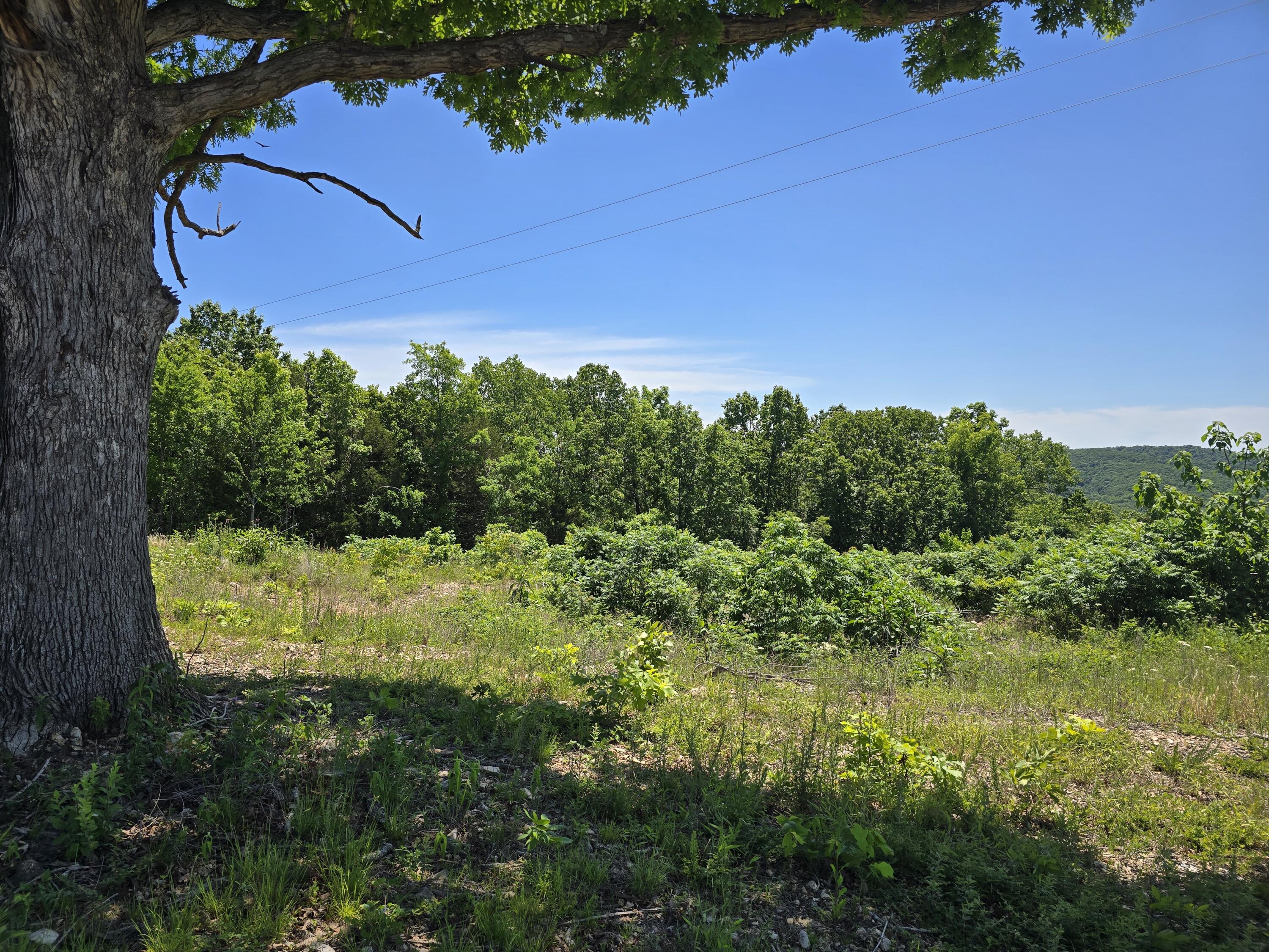 16850 Old Cricket Road West Property Photo 9