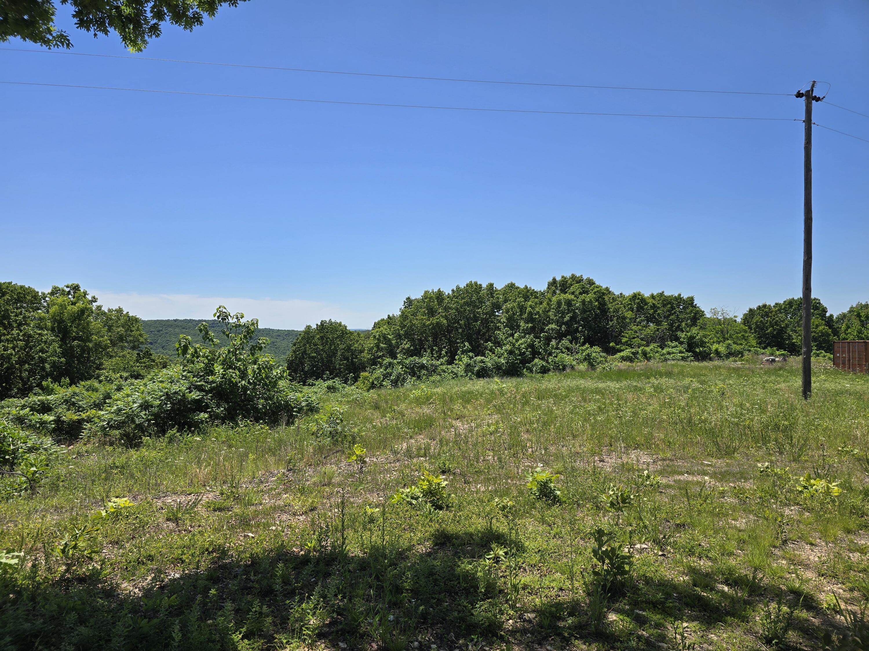 16850 Old Cricket Road West Property Photo 10