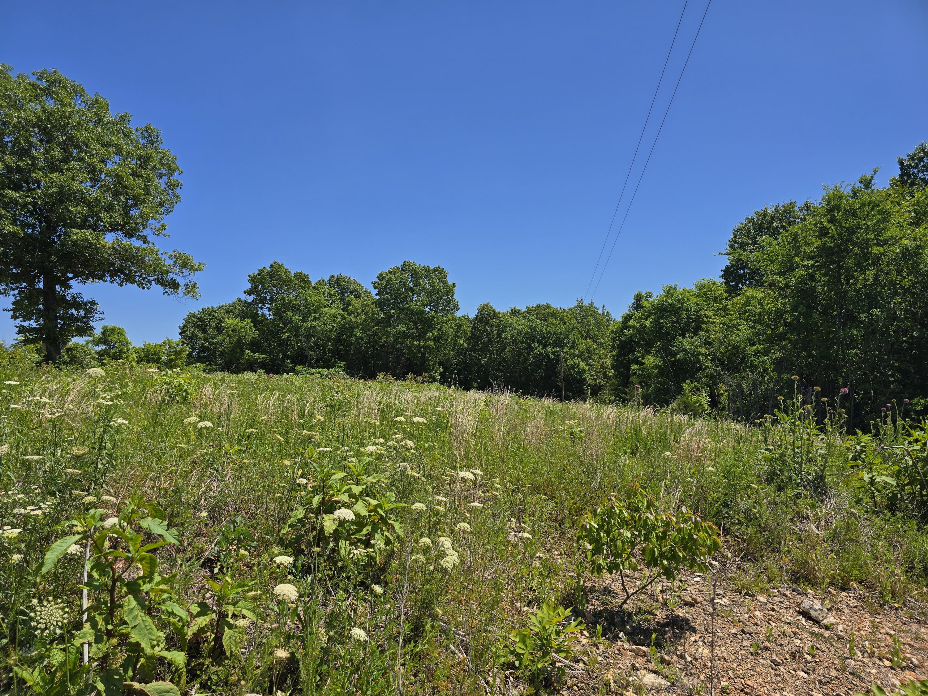 16850 Old Cricket Road West Property Photo 11