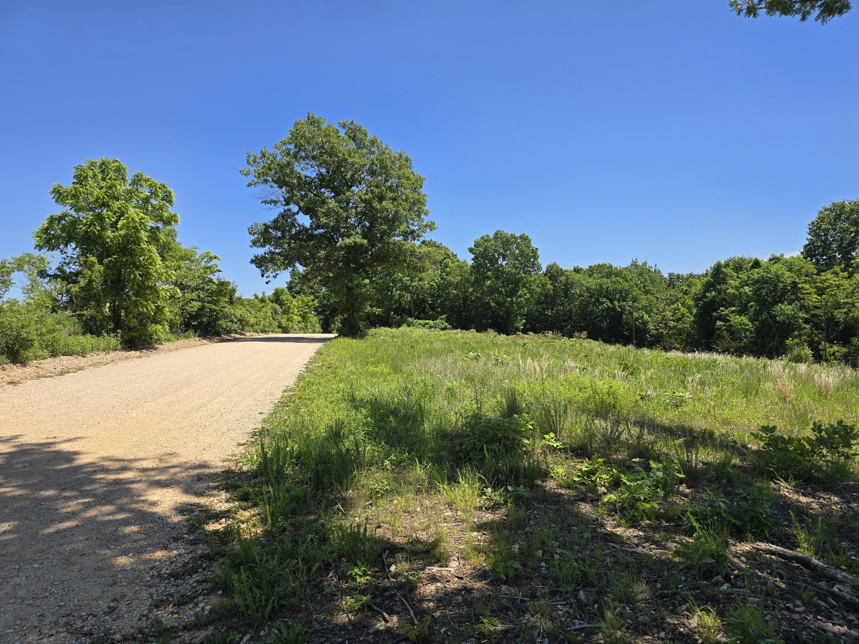 16850 Old Cricket Road West Property Photo 12