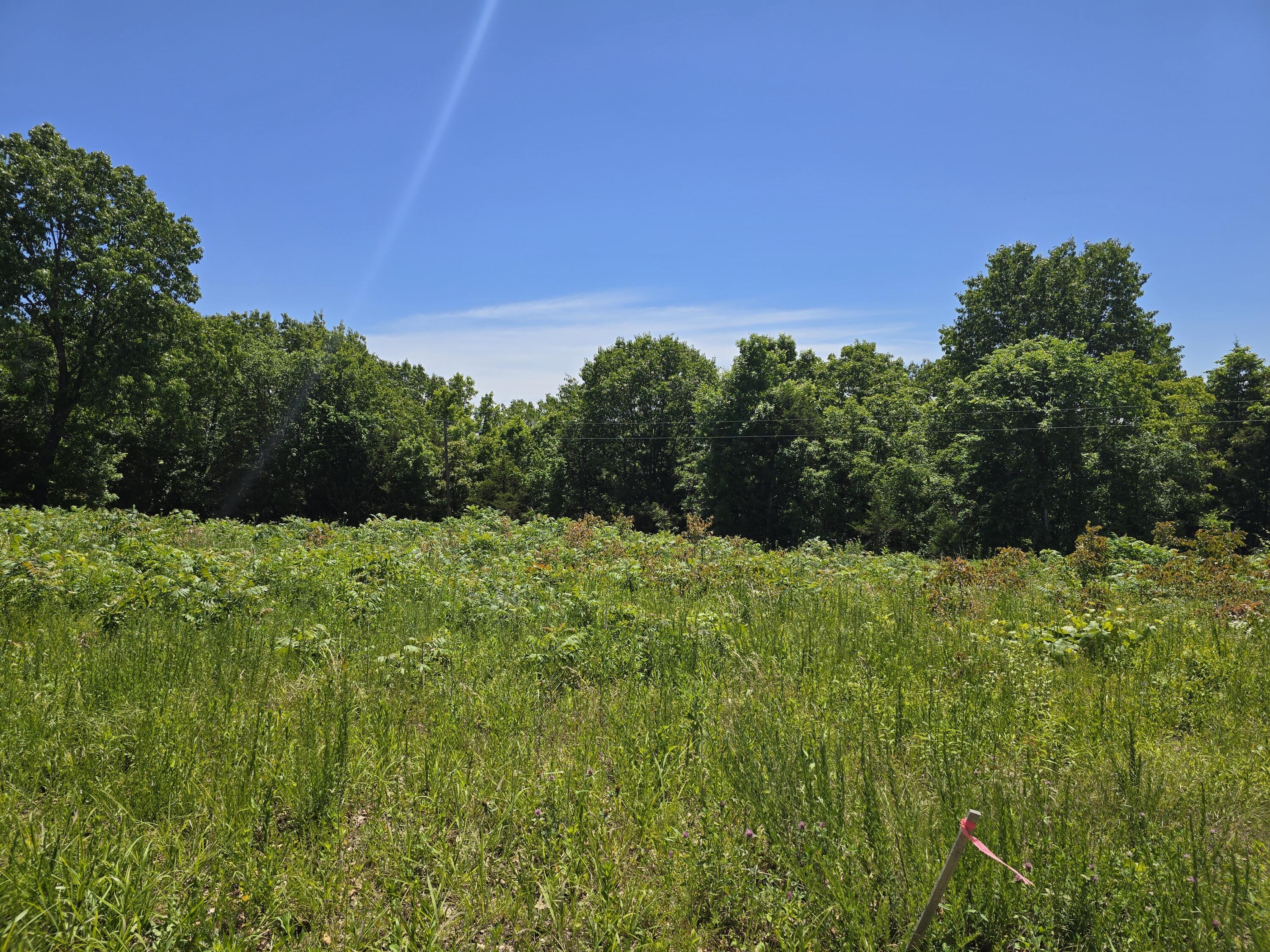 16850 Old Cricket Road West Property Photo 13