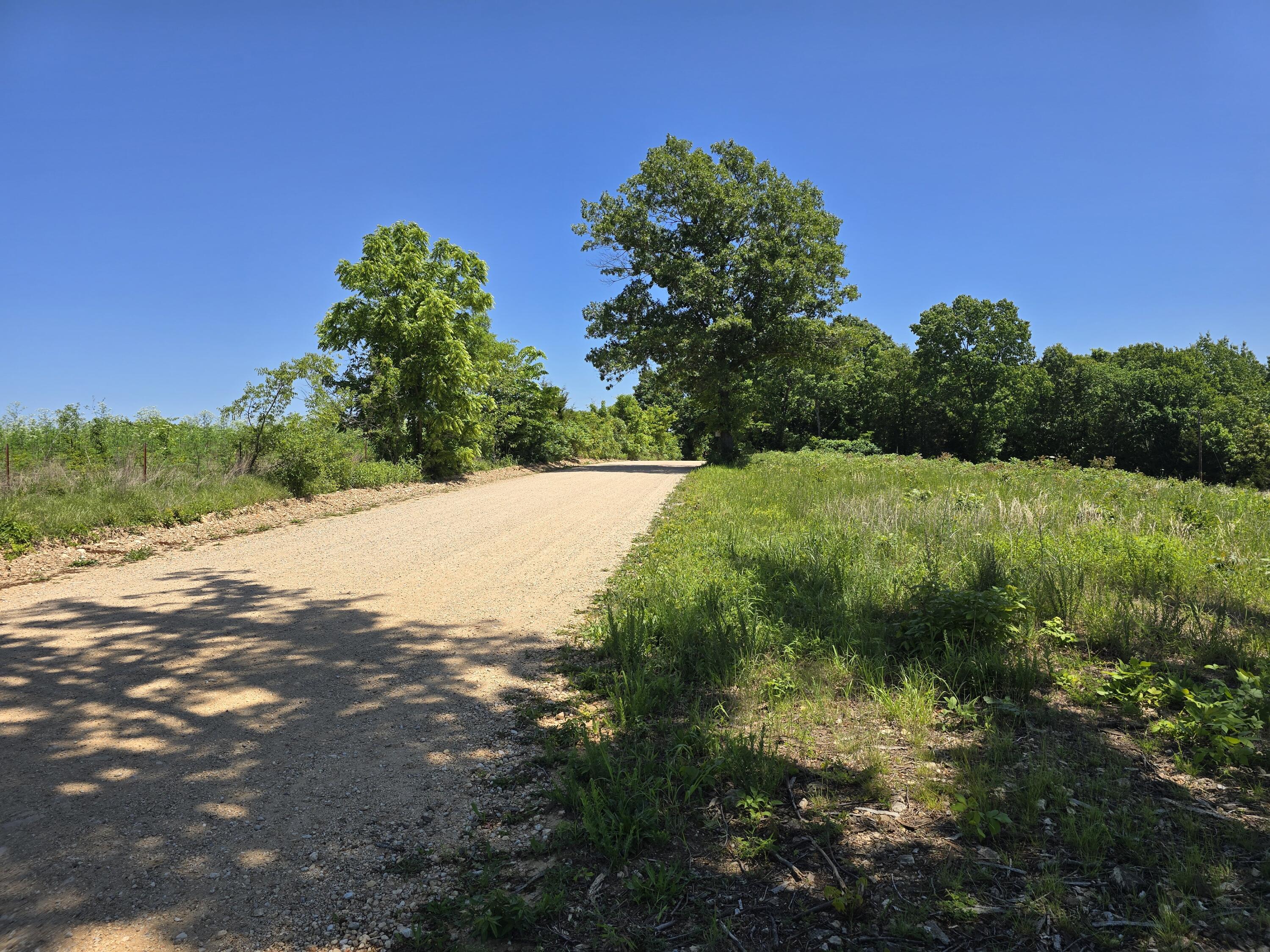 16850 Old Cricket Road West Property Photo 14