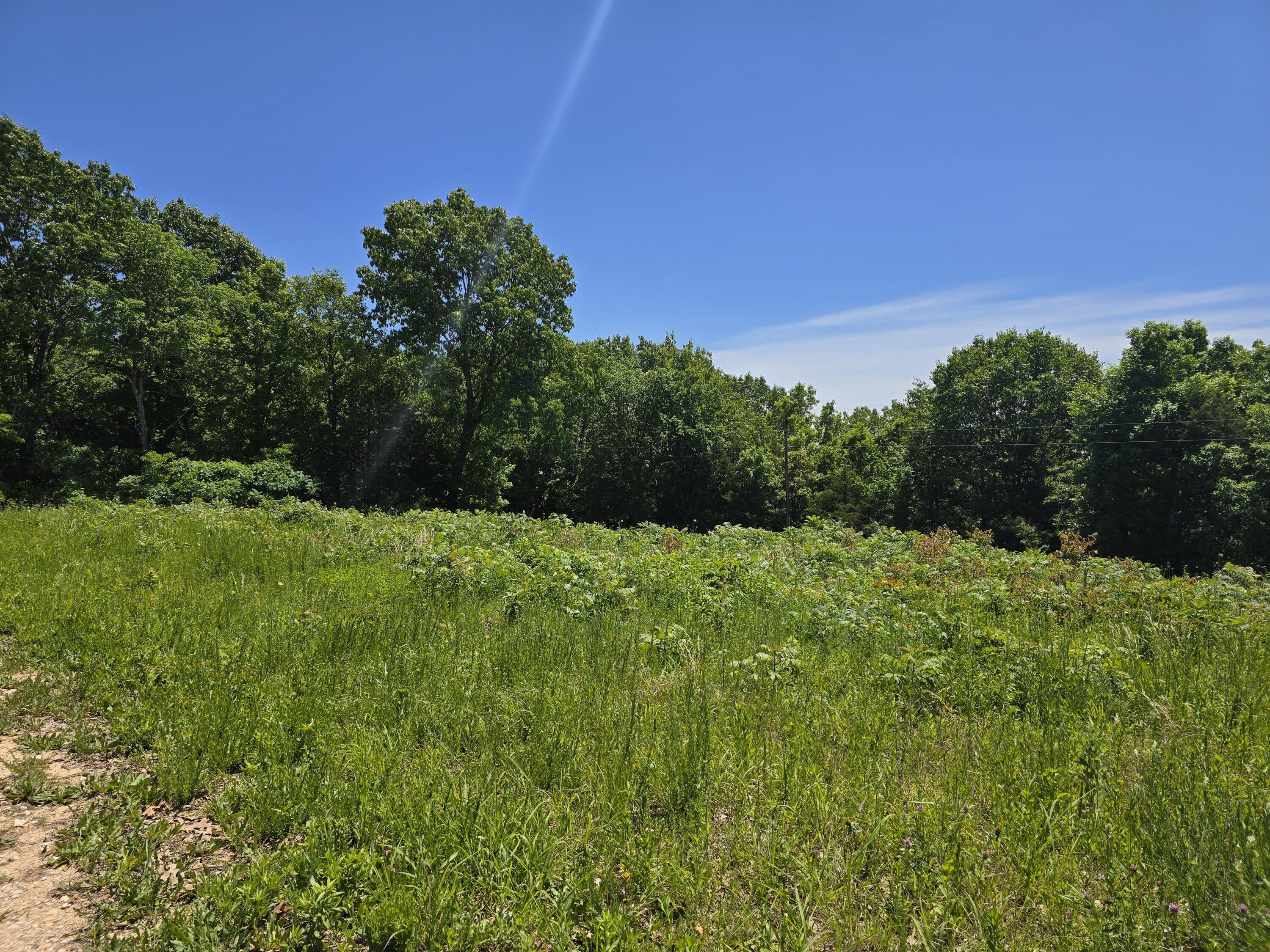 16850 Old Cricket Road West Property Photo 15