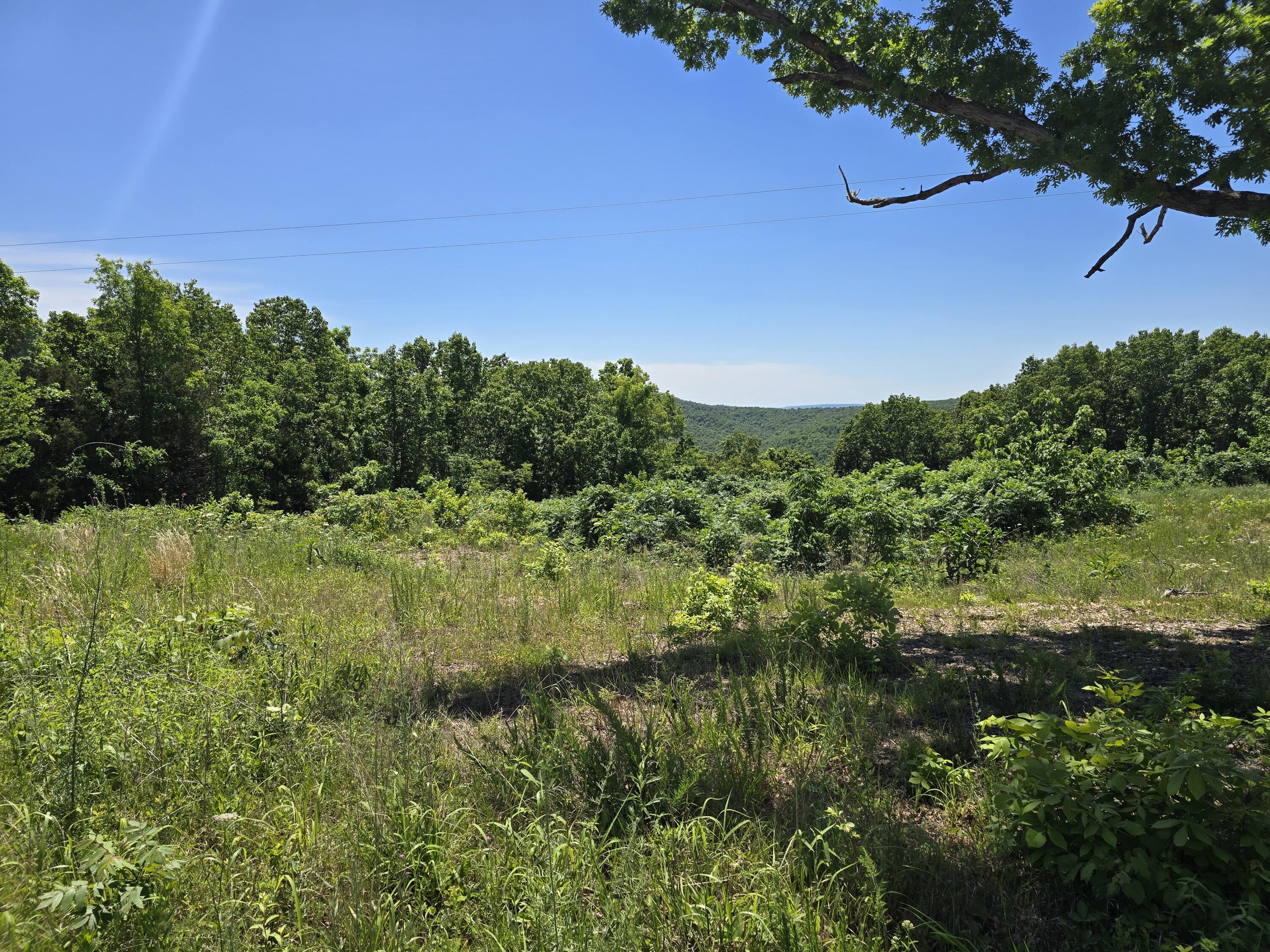 16850 Old Cricket Road West Property Photo 17