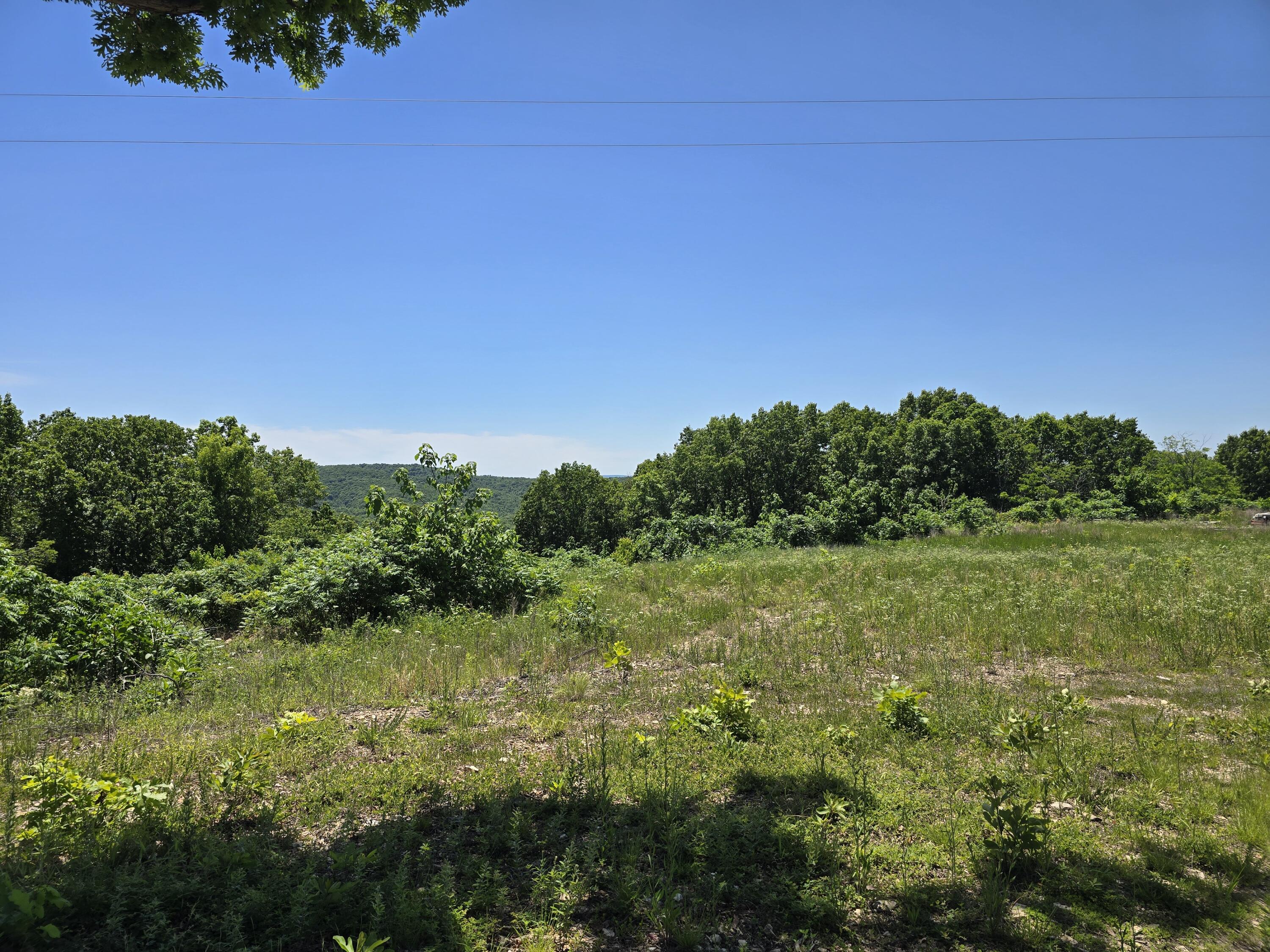 16850 Old Cricket Road West Property Photo 18