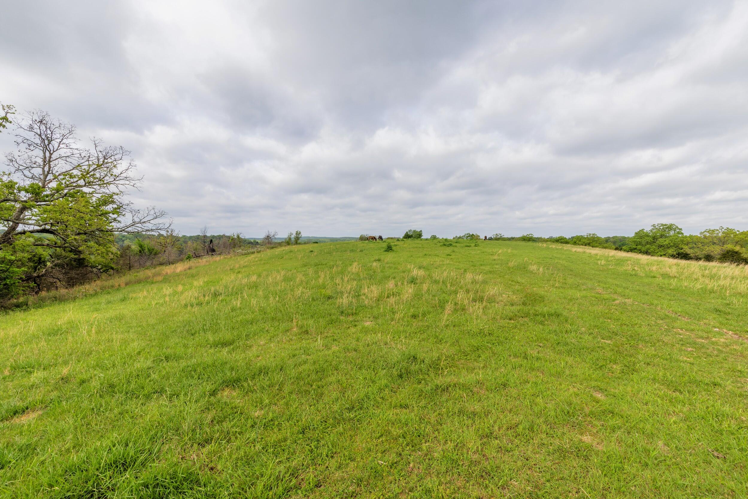 15309 East State Highway 90 Property Photo 12