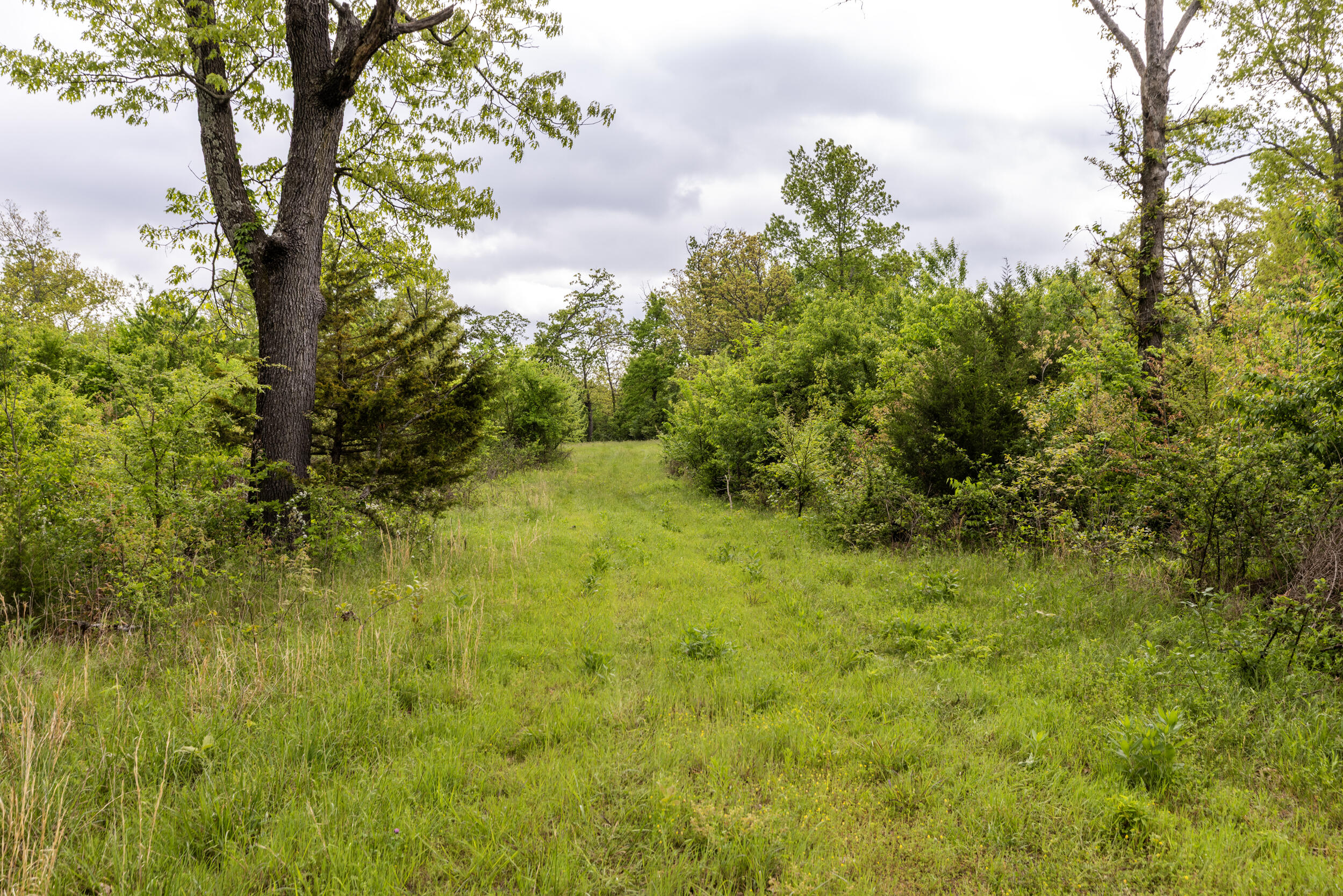 15309 East State Highway 90 Property Photo 16