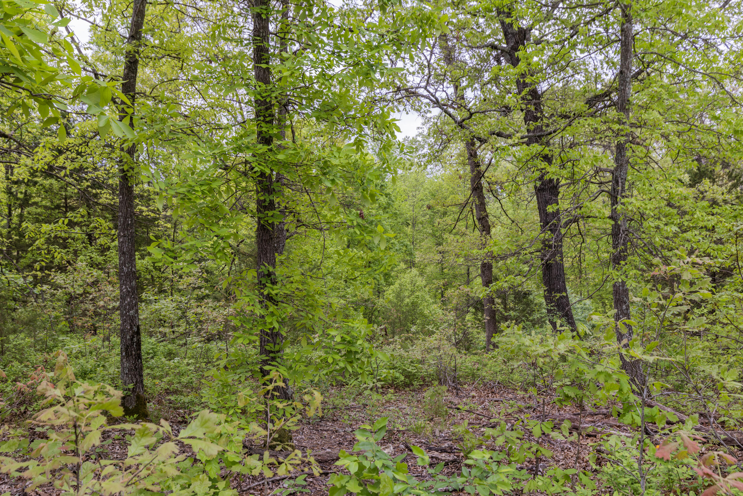 15309 East State Highway 90 Property Photo 17