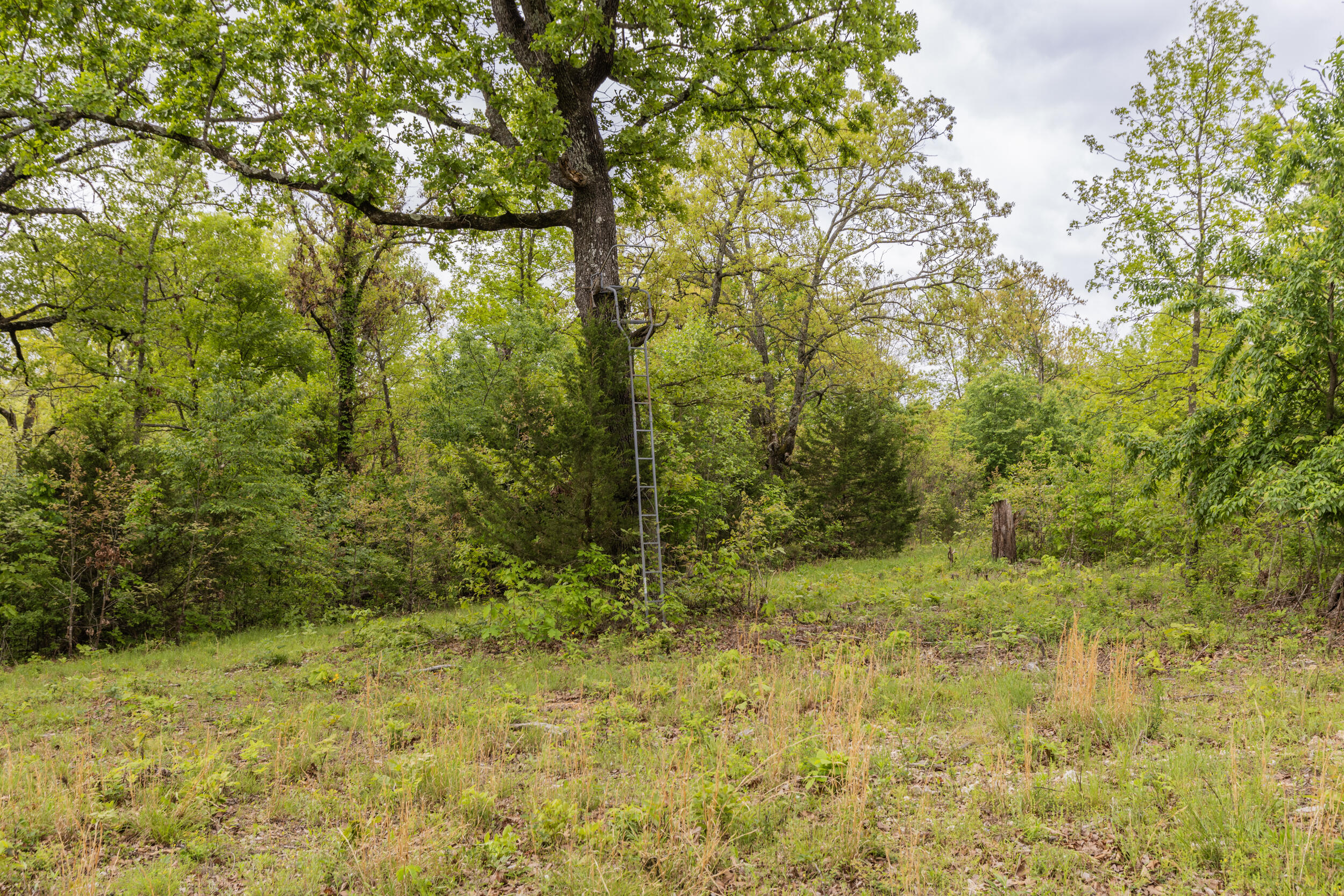 15309 East State Highway 90 Property Photo 19