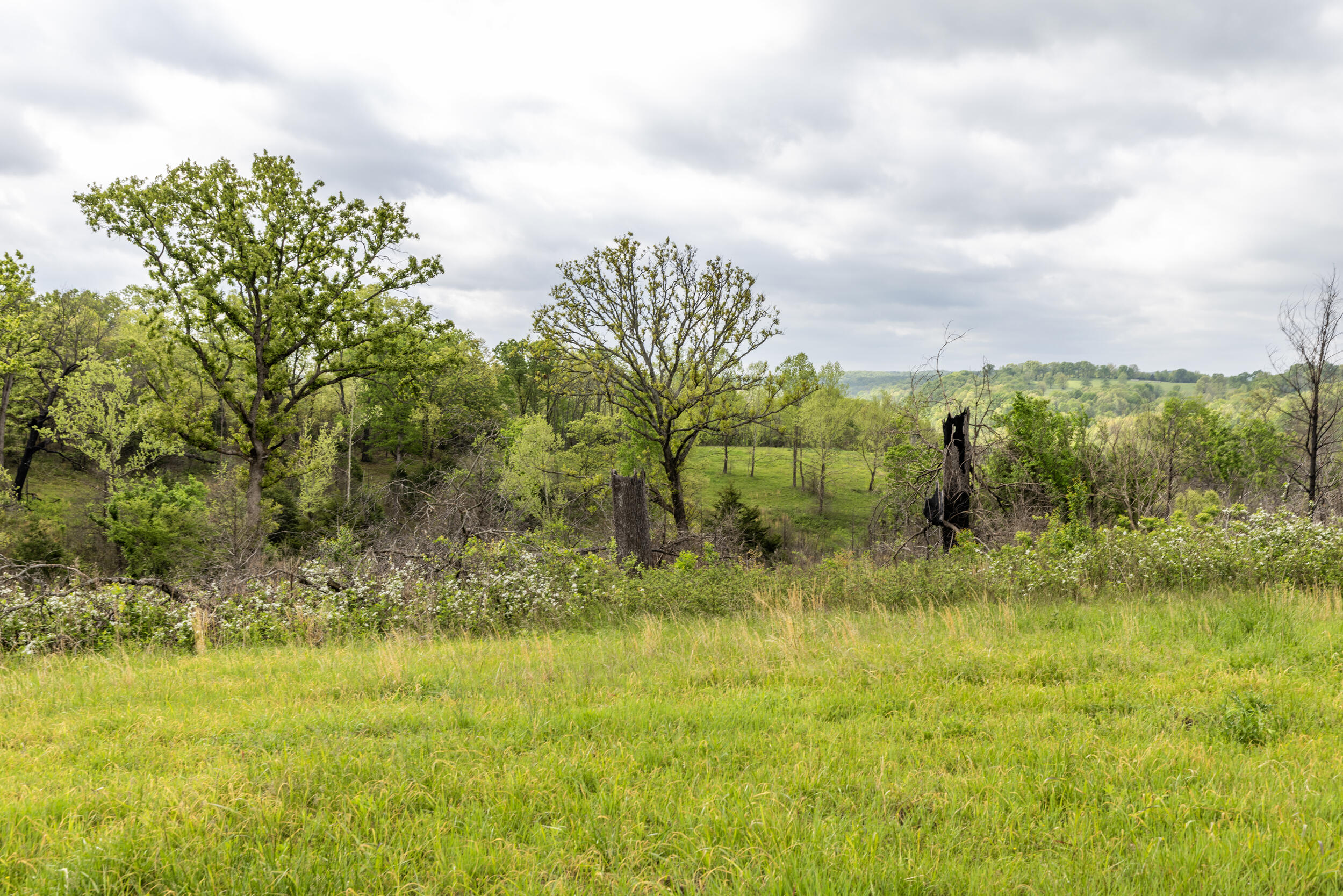 15309 East State Highway 90 Property Photo 20