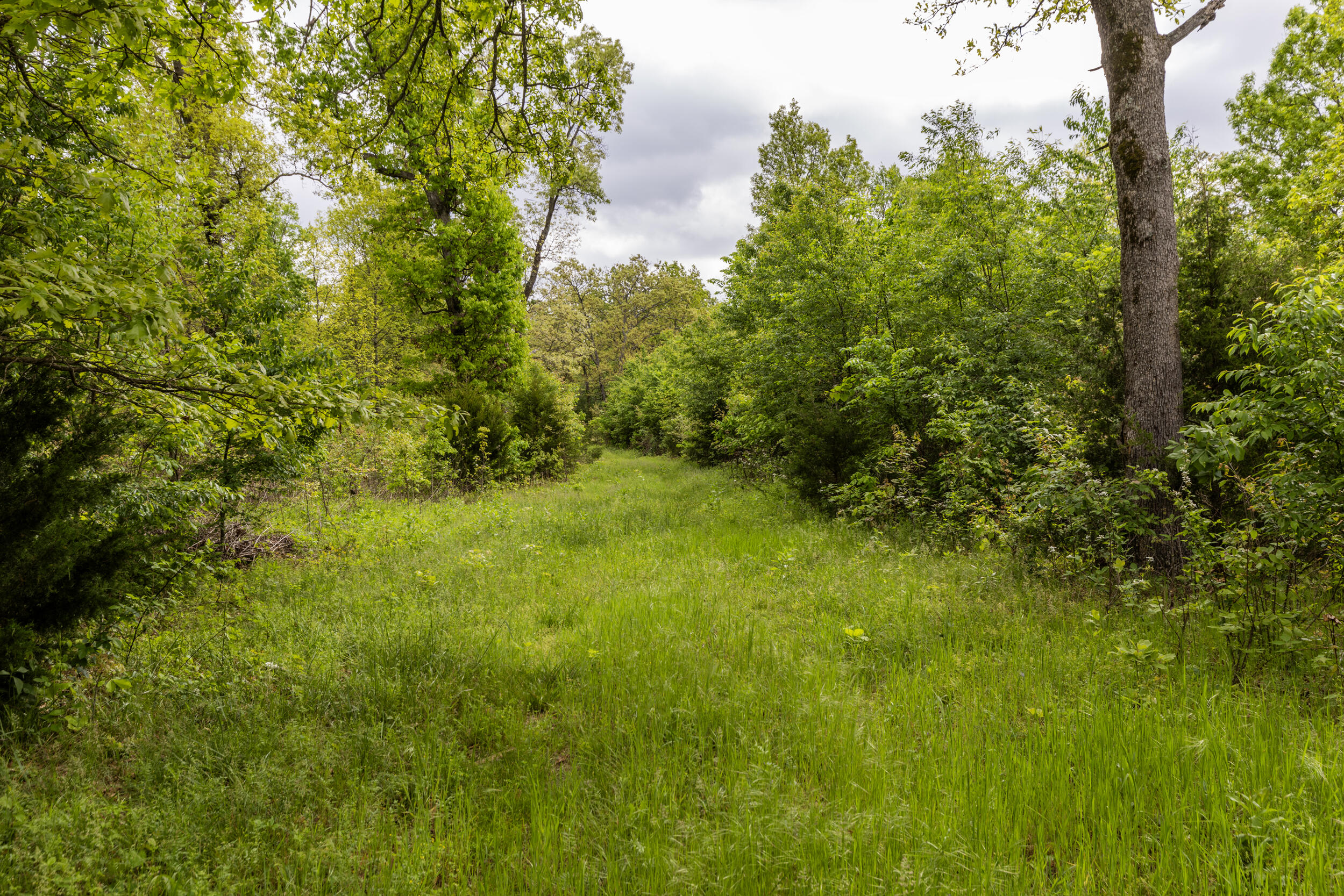 15309 East State Highway 90 Property Photo 22