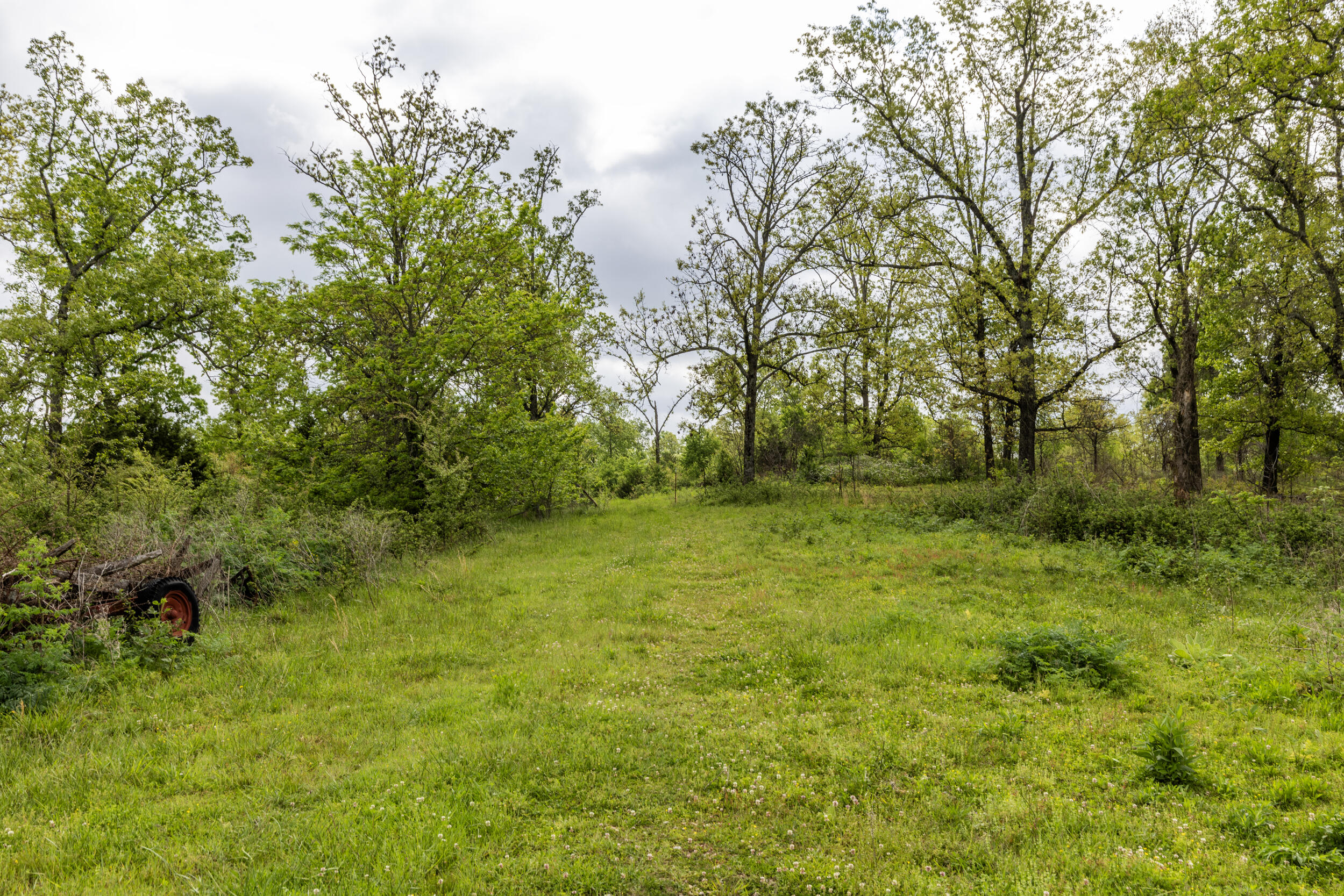 15309 East State Highway 90 Property Photo 24