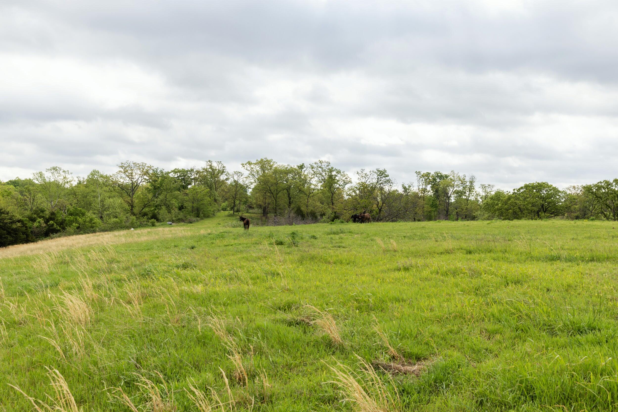 15309 East State Highway 90 Property Photo 28