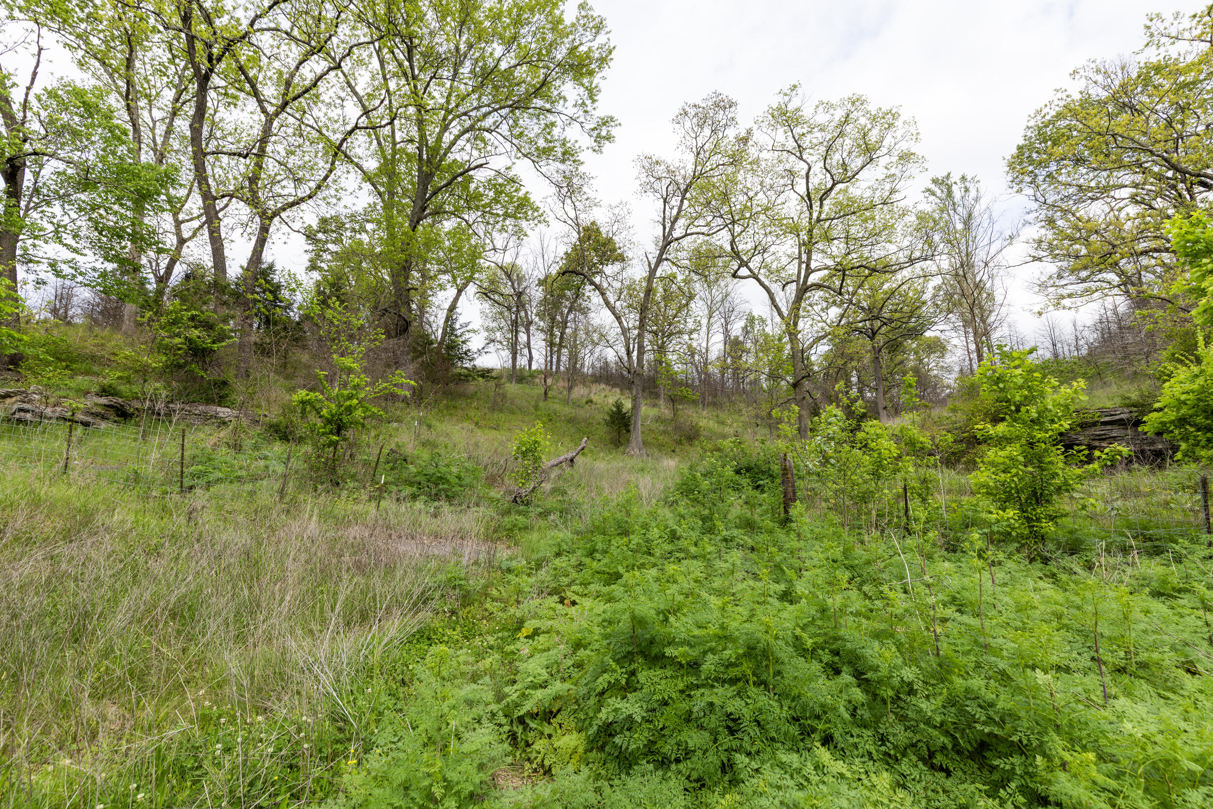 15309 East State Highway 90 Property Photo 29