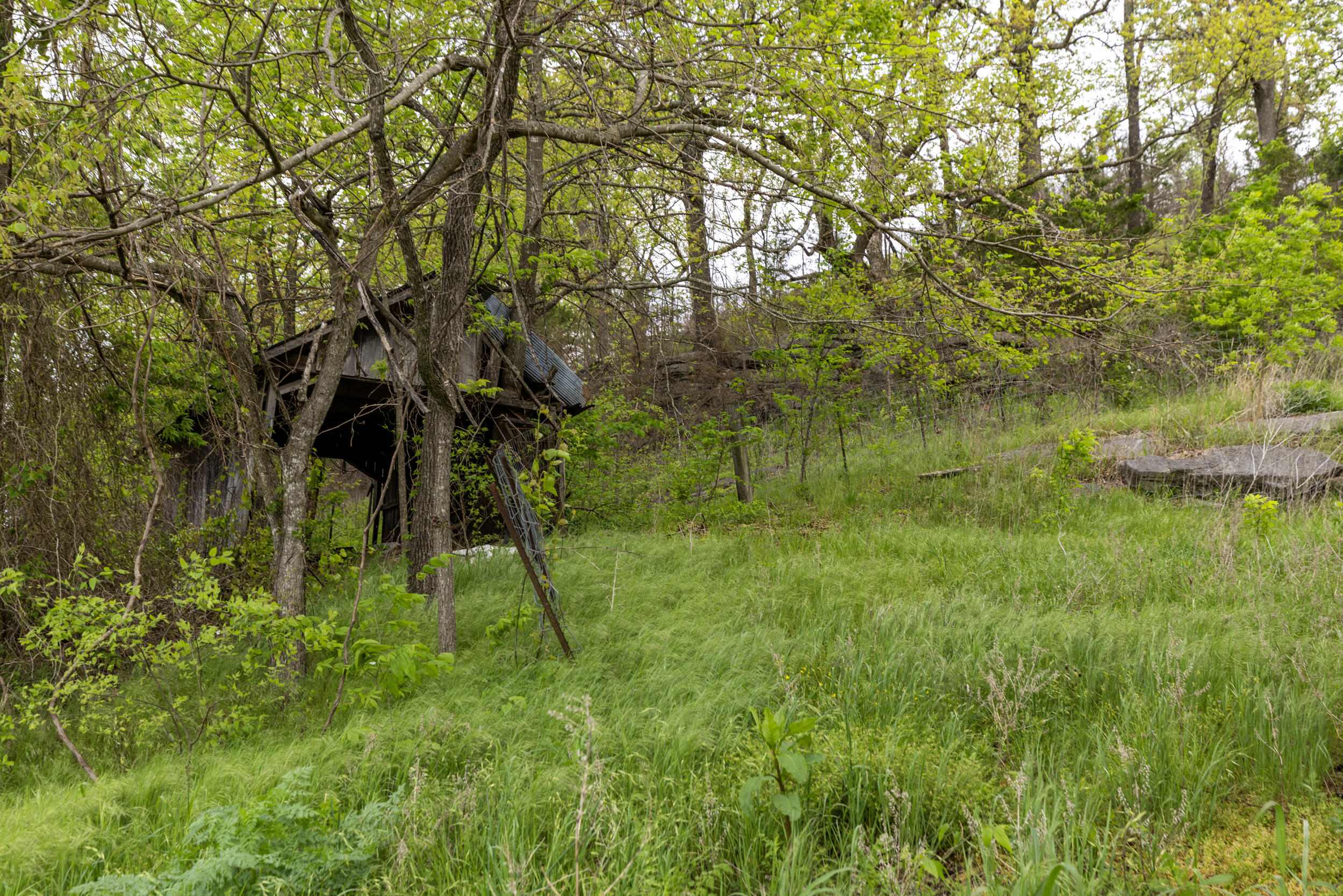 15309 East State Highway 90 Property Photo 33