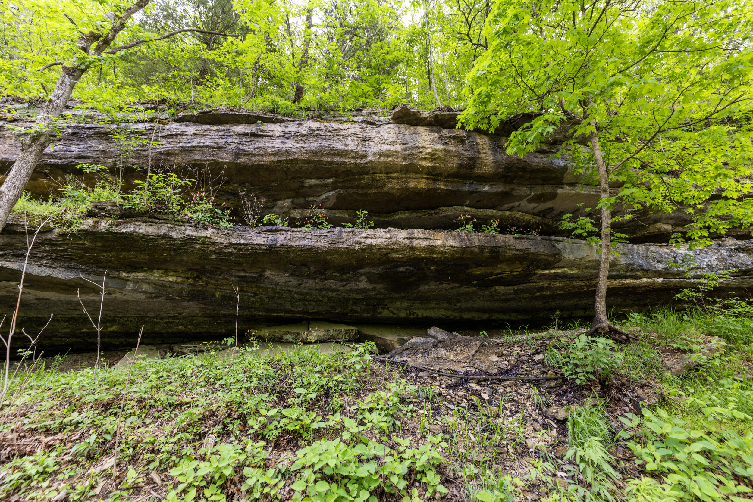 15309 East State Highway 90 Property Photo 41