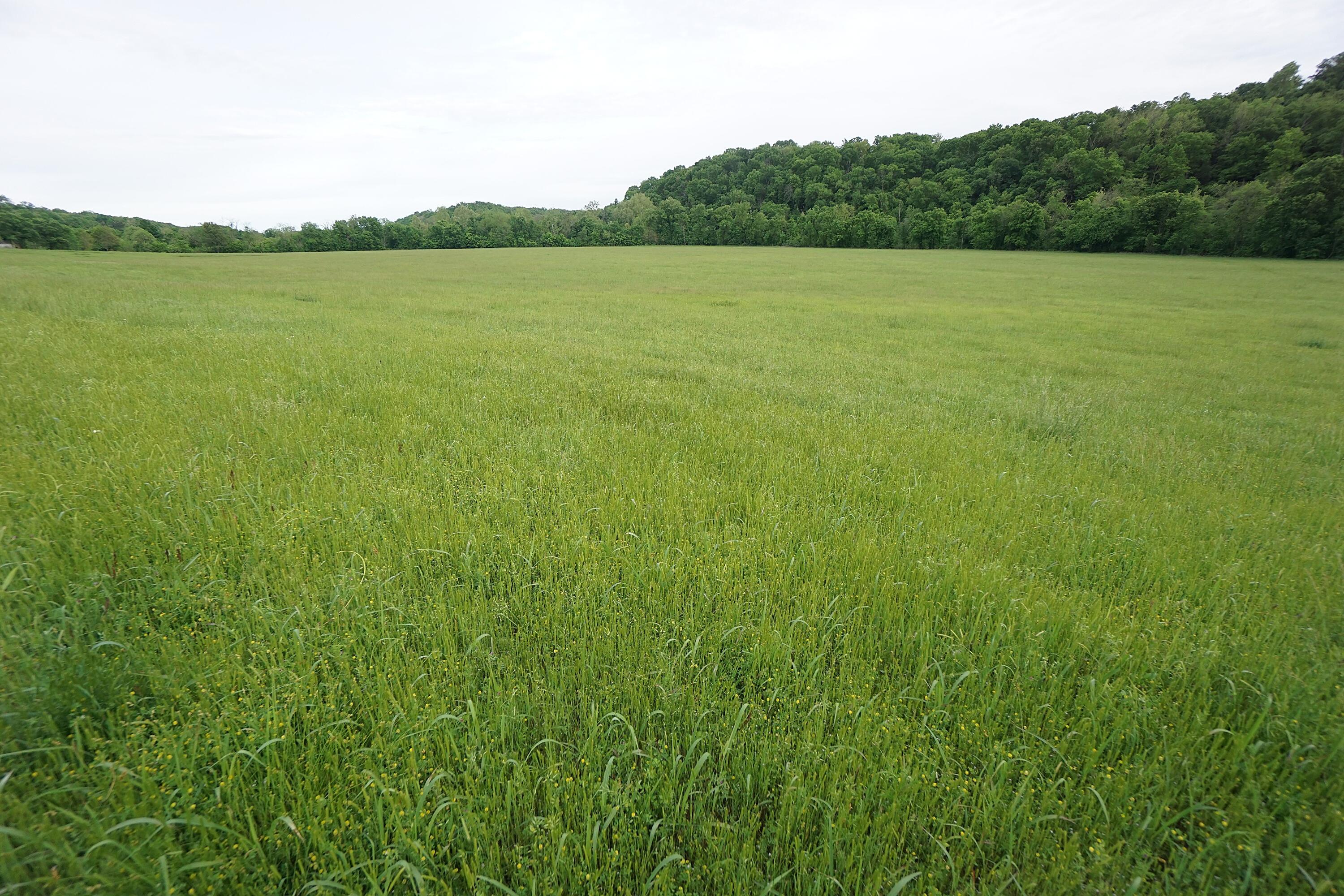 15309 East State Highway 90 Property Photo 49
