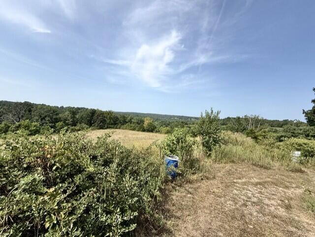 15309 East State Highway 90 Property Photo 59