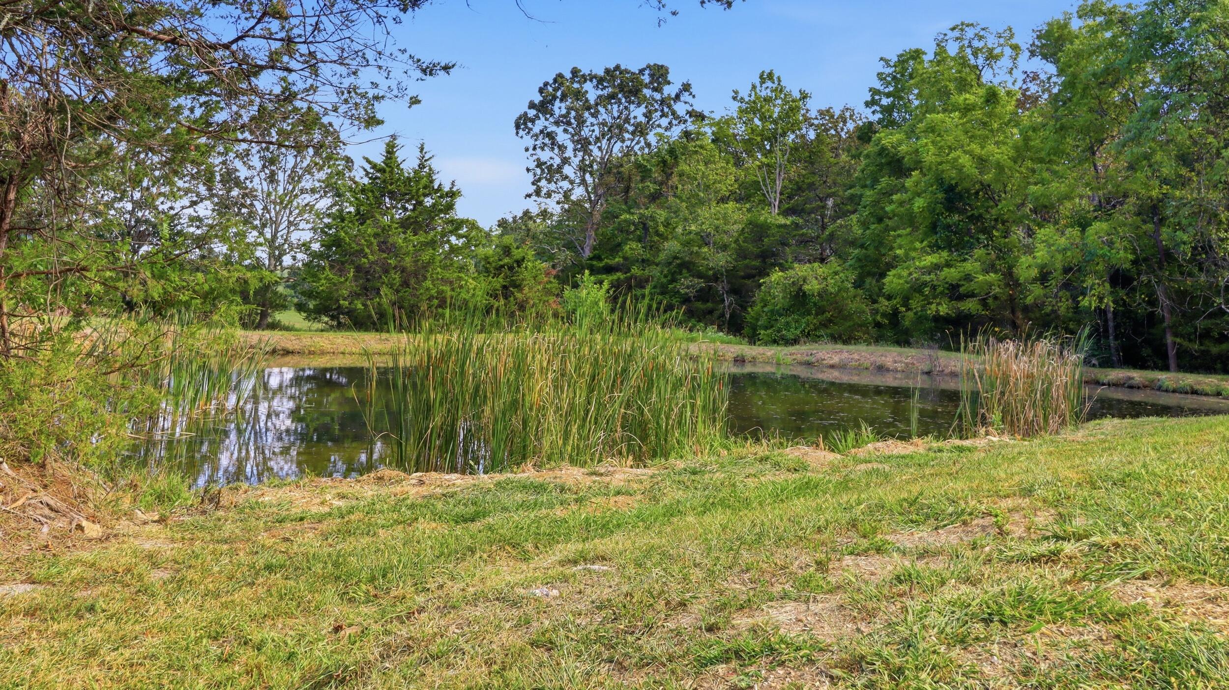 16428 State Highway H Property Photo 32