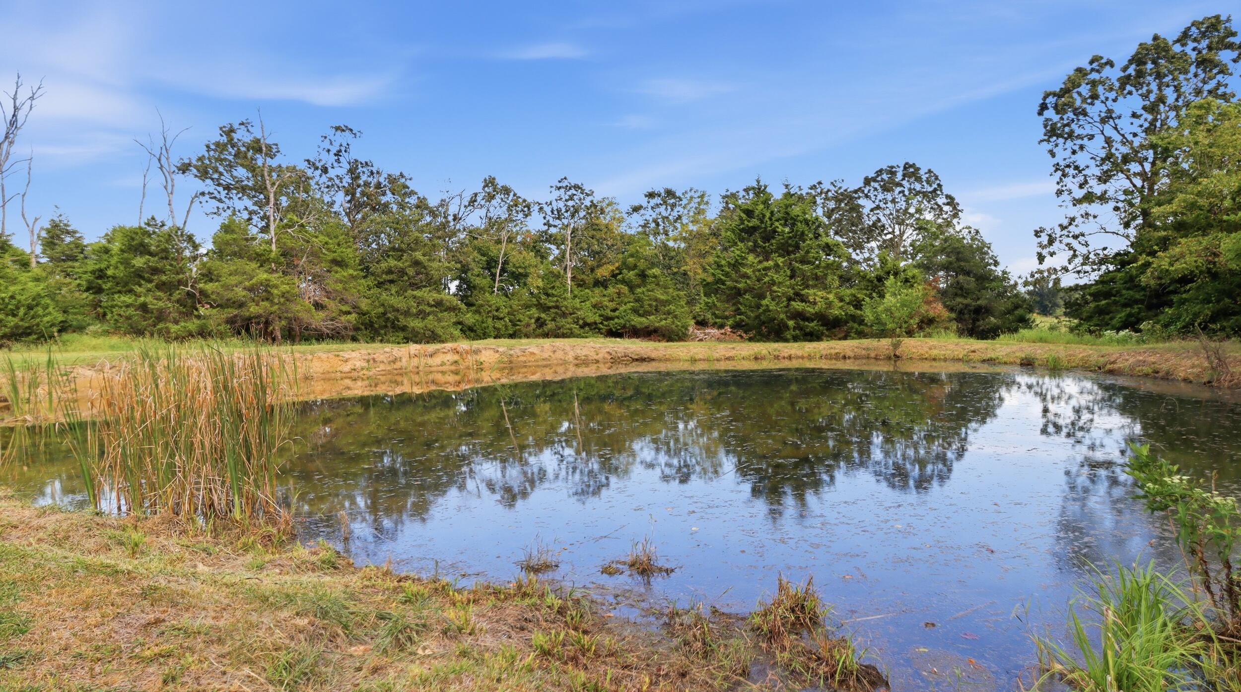 16428 State Highway H Property Photo 33