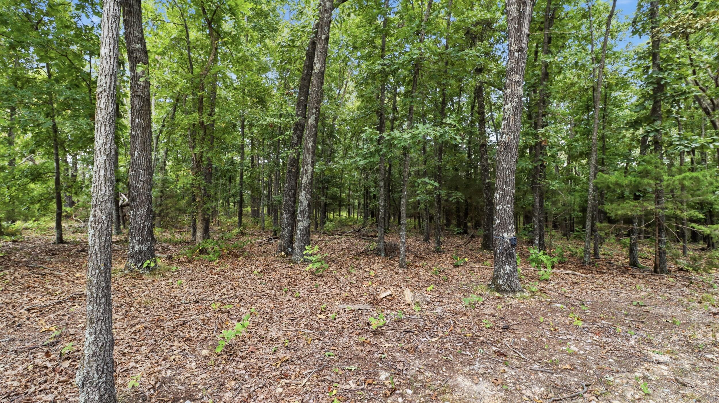 16428 State Highway H Property Photo 37
