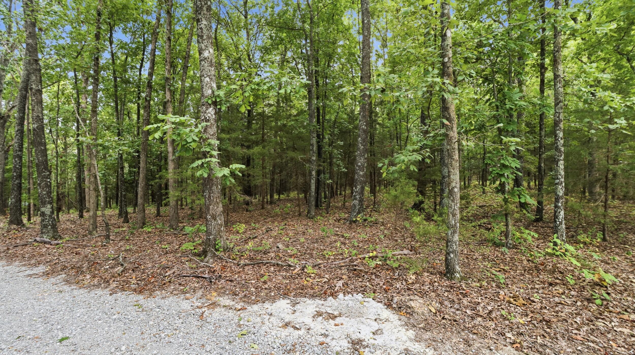 16428 State Highway H Property Photo 38