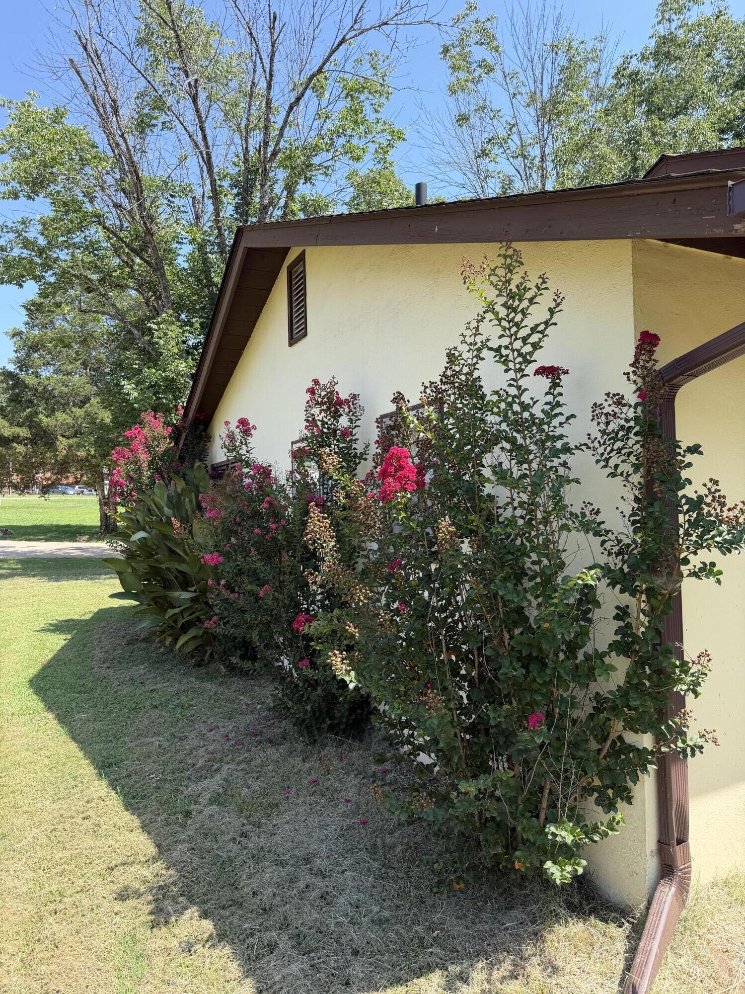 403 Luin Street Property Photo 30