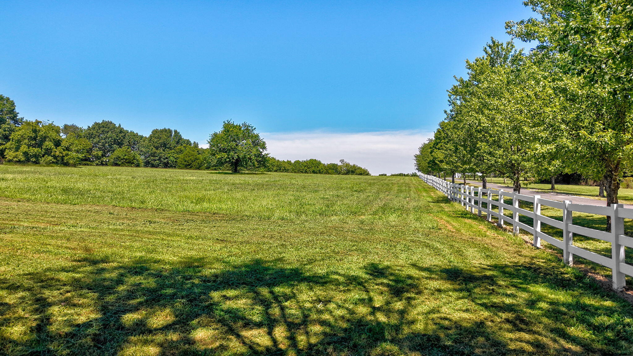 11900 West Farm Road 144 Property Photo 6