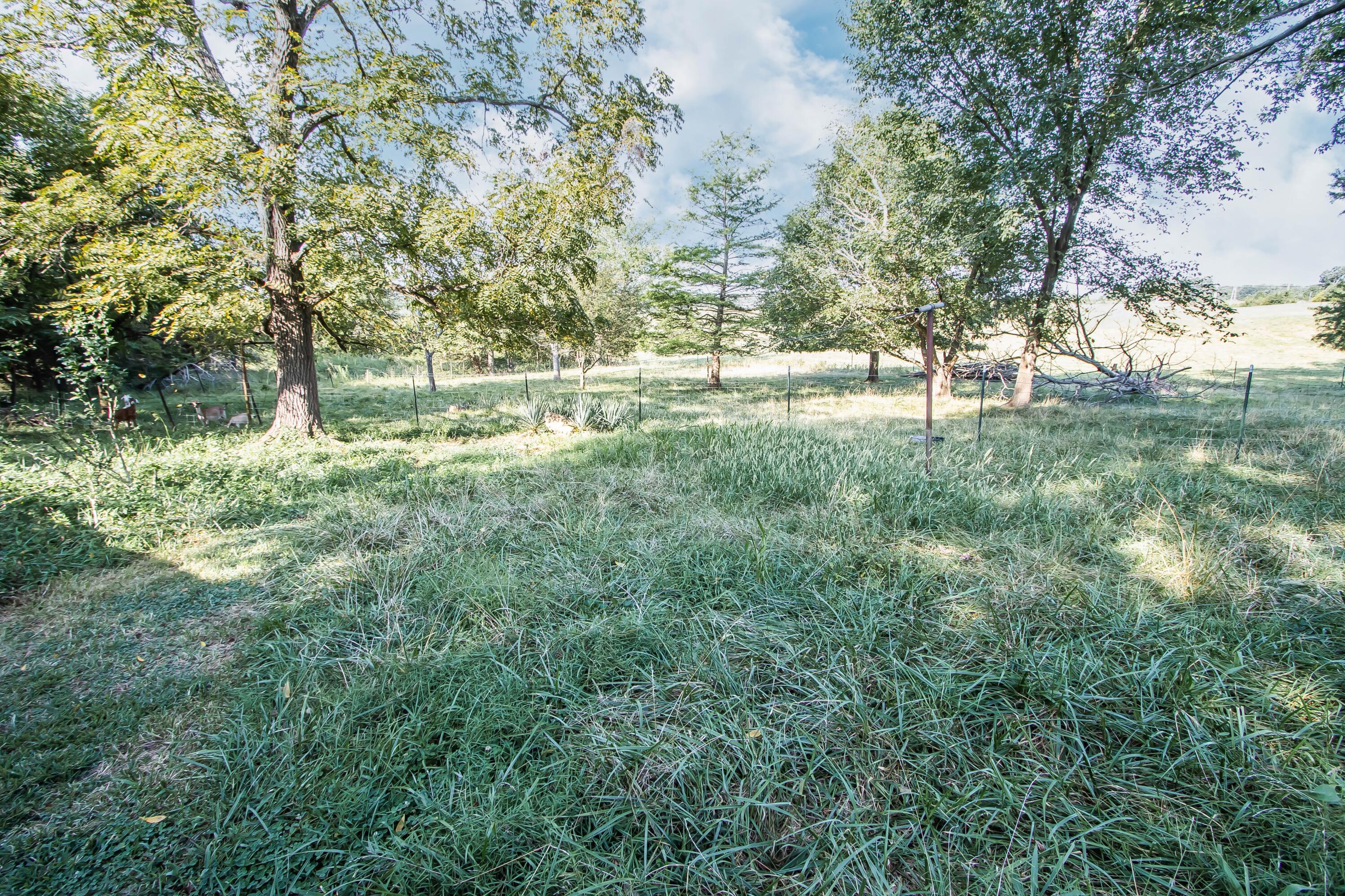 75 Chadwick Road Property Photo 42
