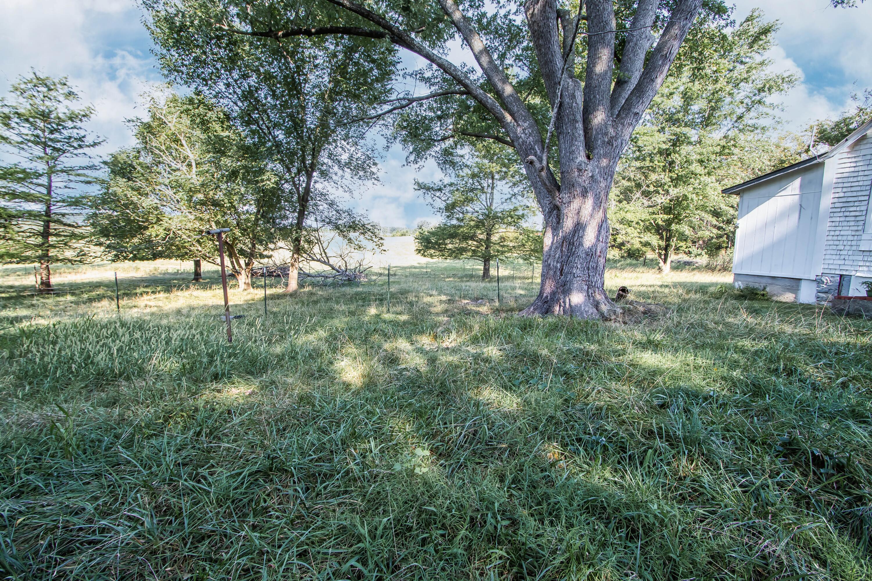 75 Chadwick Road Property Photo 43
